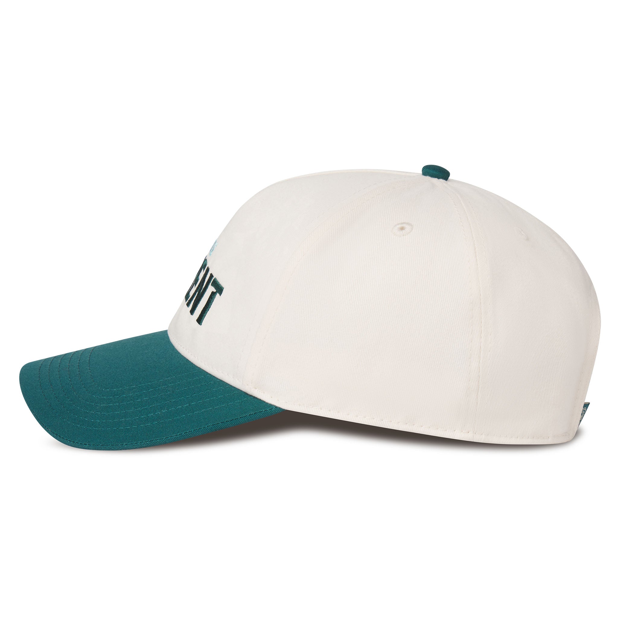 Adult Seattle Torrent Sportiqe Ranch Wordmark Snapback Hat - Hat in