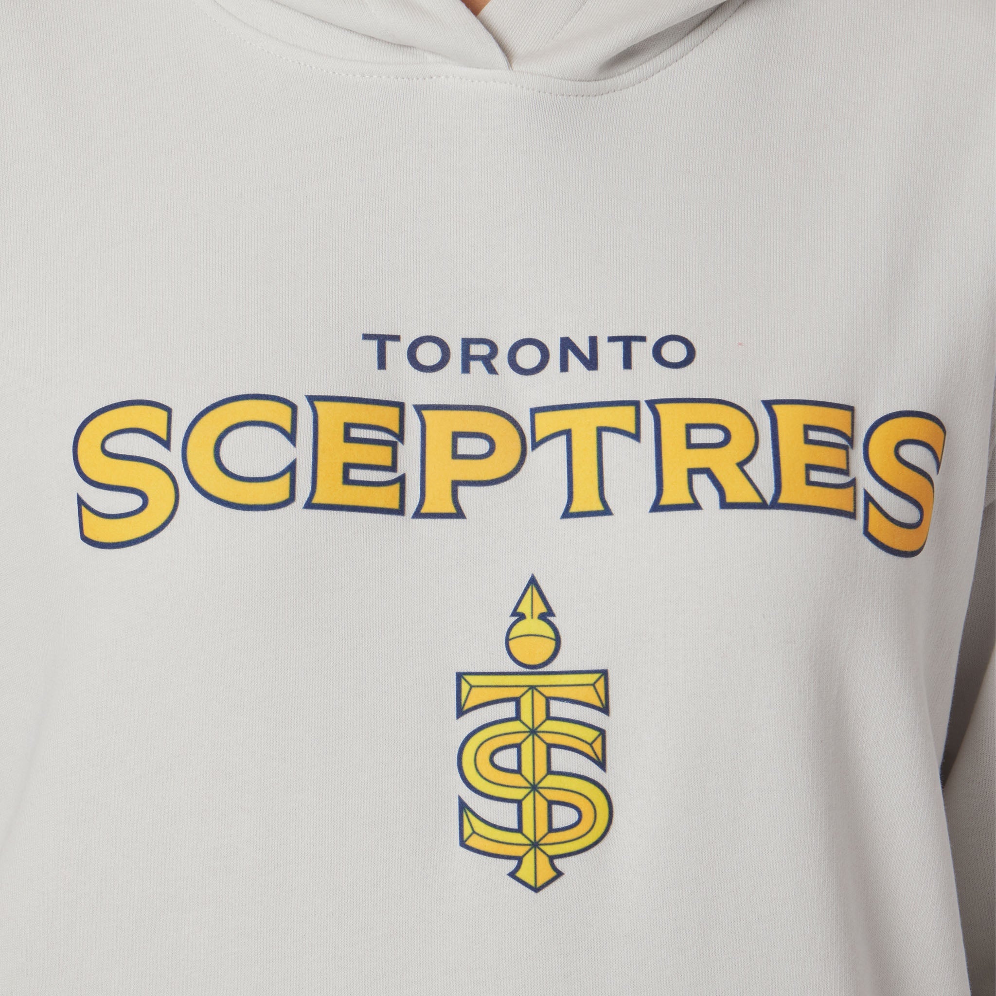 Adult Toronto Sceptres Sportiqe Velvet Logo Drake Hoodie - Hoodie in Stone
