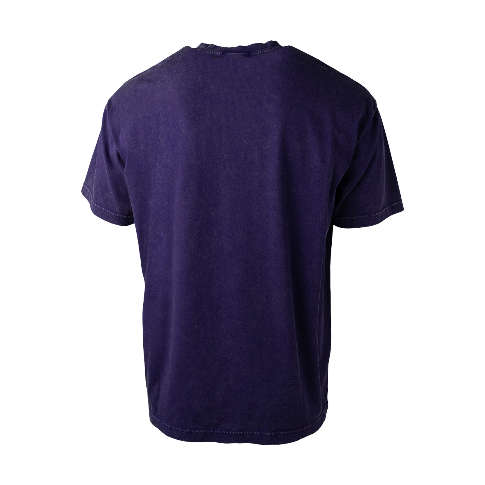 Adult Minnesota Frost Bauer Boxy Graphic T-Shirt - T-shirt in Purple