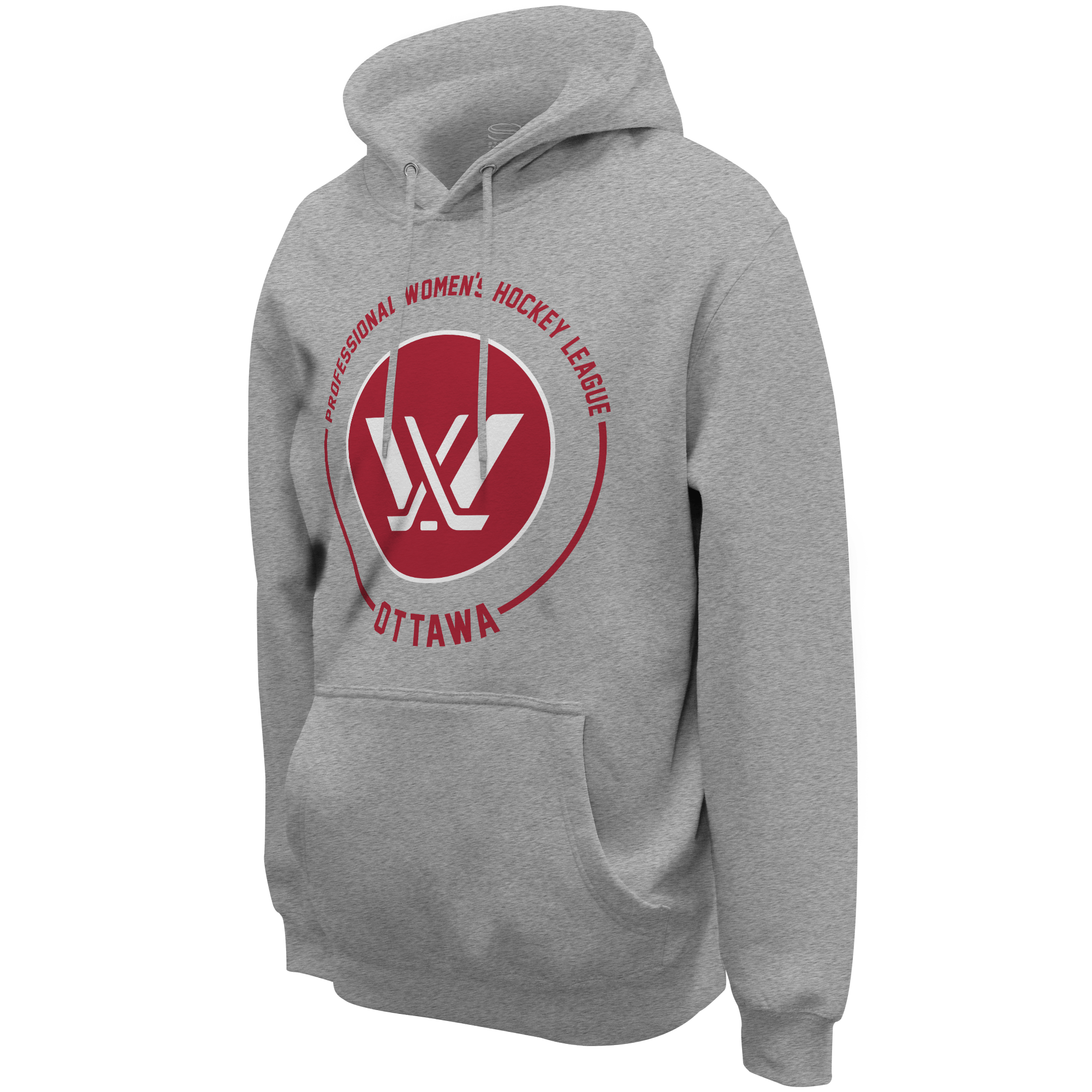 Ottawa Puck Hoodie - Hoodie in Grey