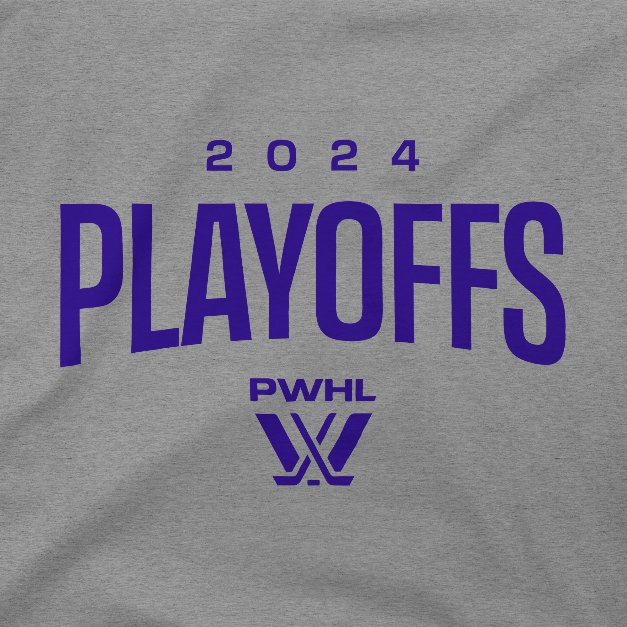 PWHL Playoffs Youth Hoodie - Hoodie in Grey