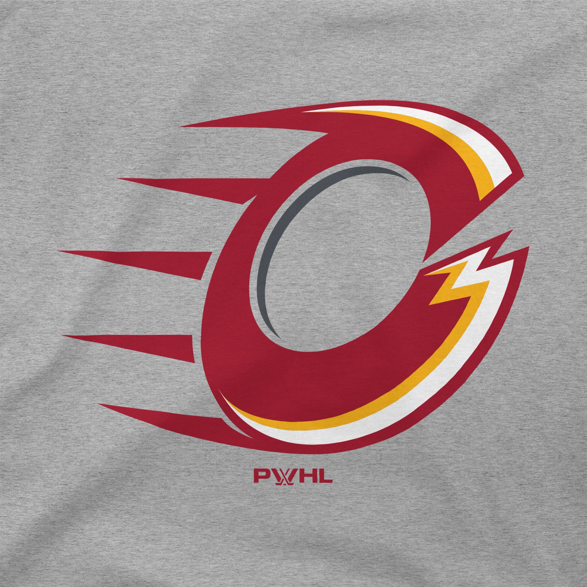 Ottawa Charge Unisex Stadium Essentials Logo T-Shirt - T-Shirt in Grey