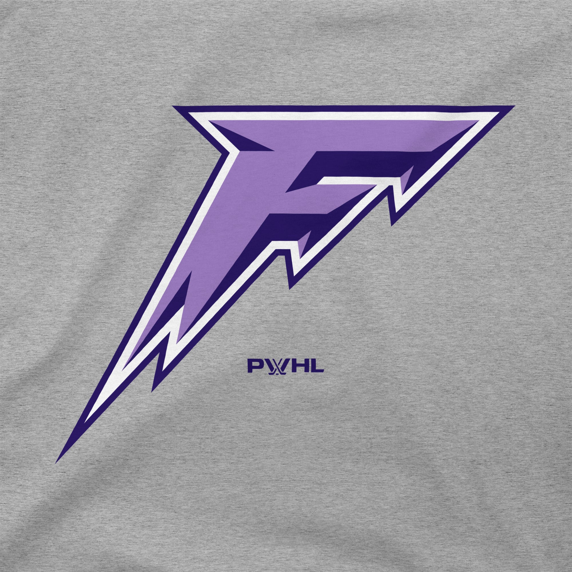 Minnesota Frost Unisex Stadium Essentials Logo T-Shirt - T-Shirt in Grey