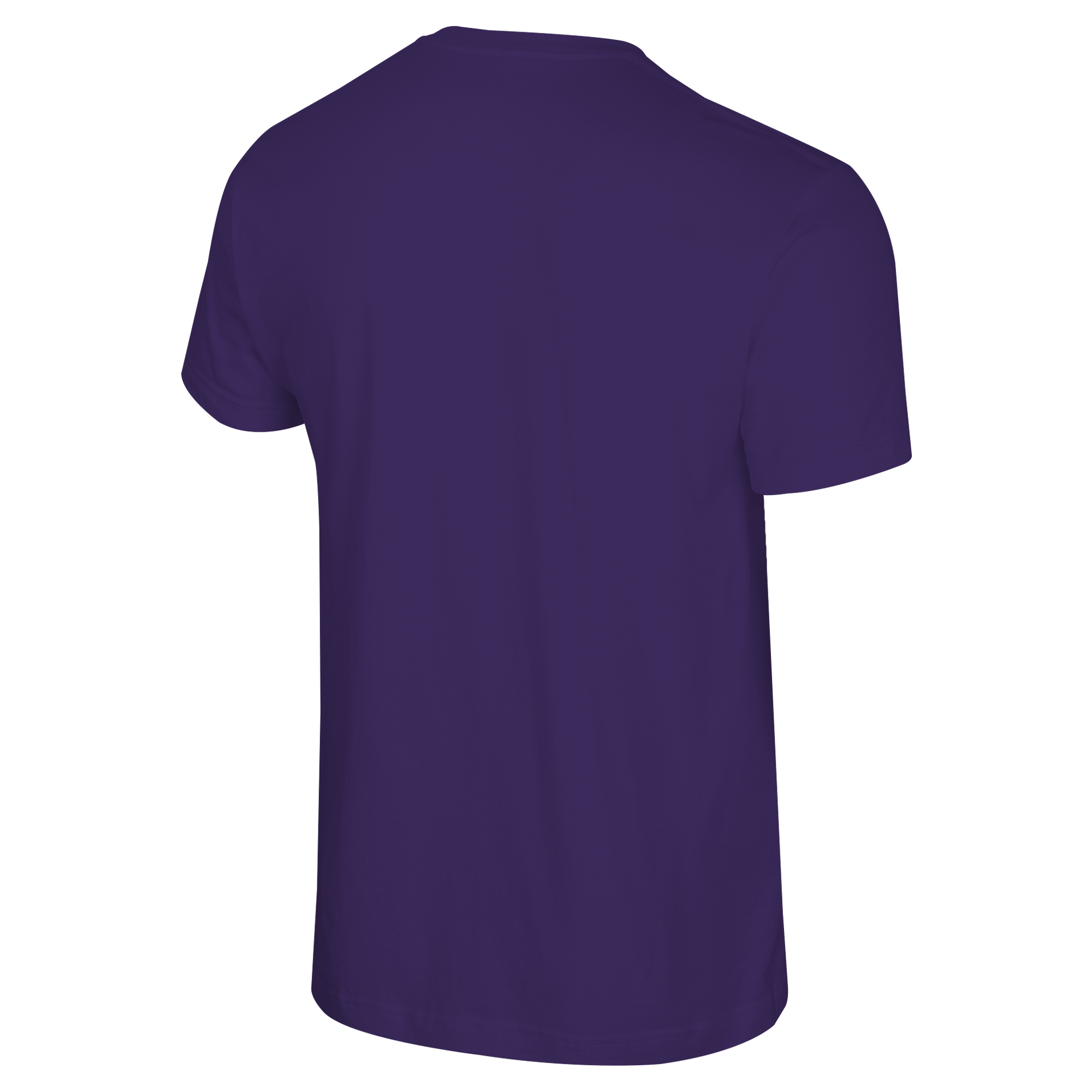 Minnesota Frost Adult Stadium Essentials Championship After Hours 25 T-Shirt - T-shirt in Purple