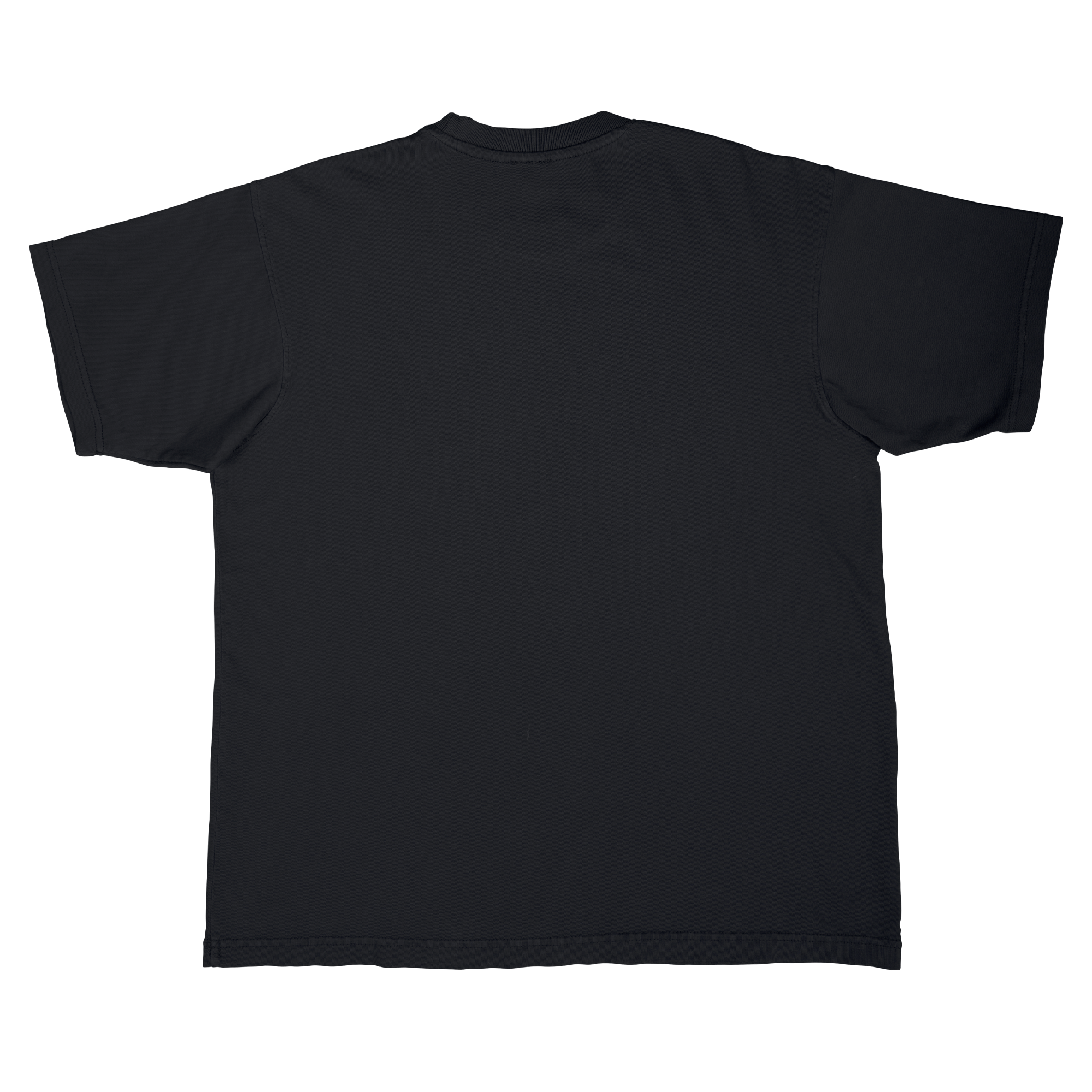 Minnesota Frost Adult Stadium Essentials Championship Burst Player Urban T-Shirt - T-shirt in Black