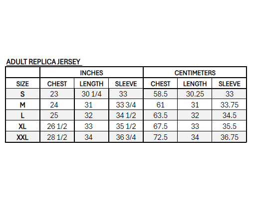 Ann - Renee Desbiens Montreal Victoire Adult Bauer Replica Home Jersey - Jersey in Maroon