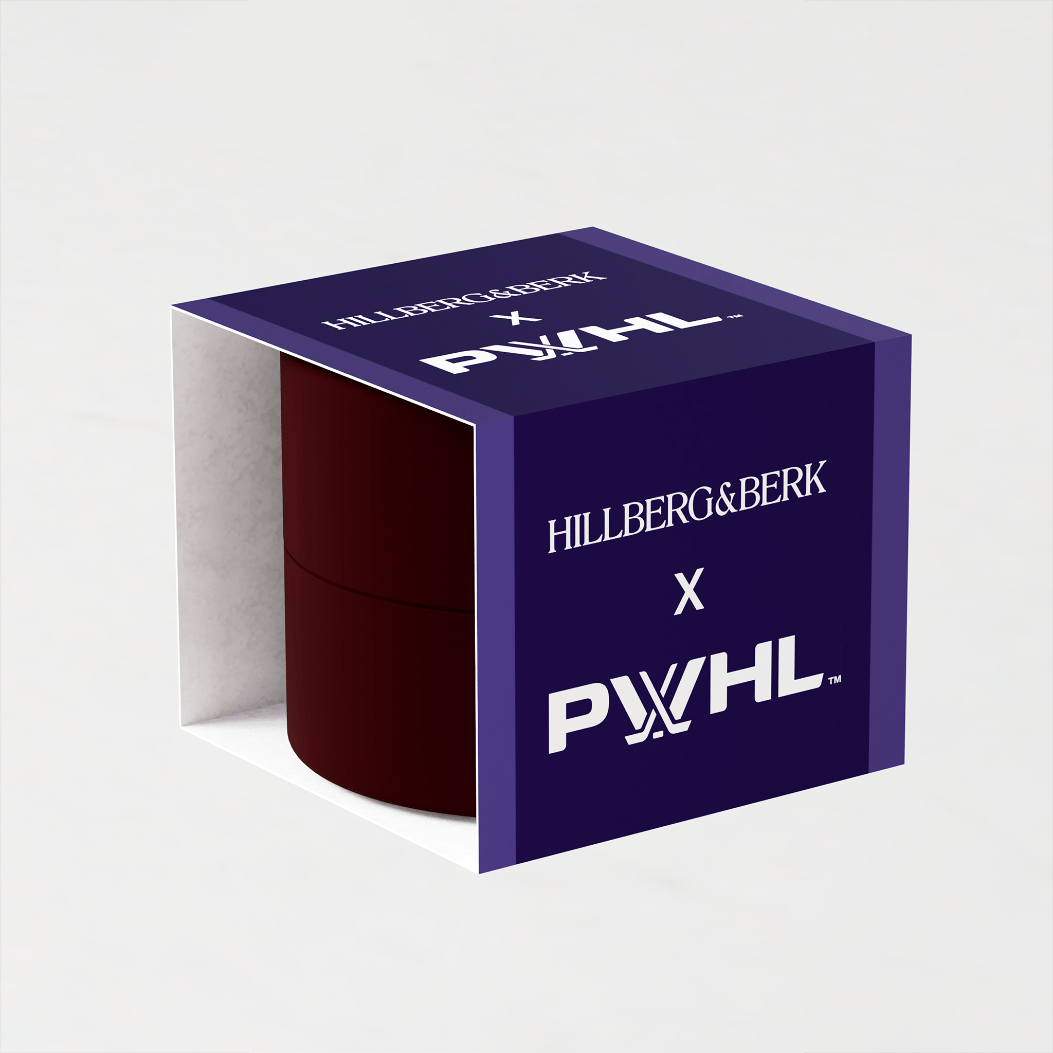 PWHL Hillberg & Berk Gold Hockey Stick Necklace - Jewelry in Gold