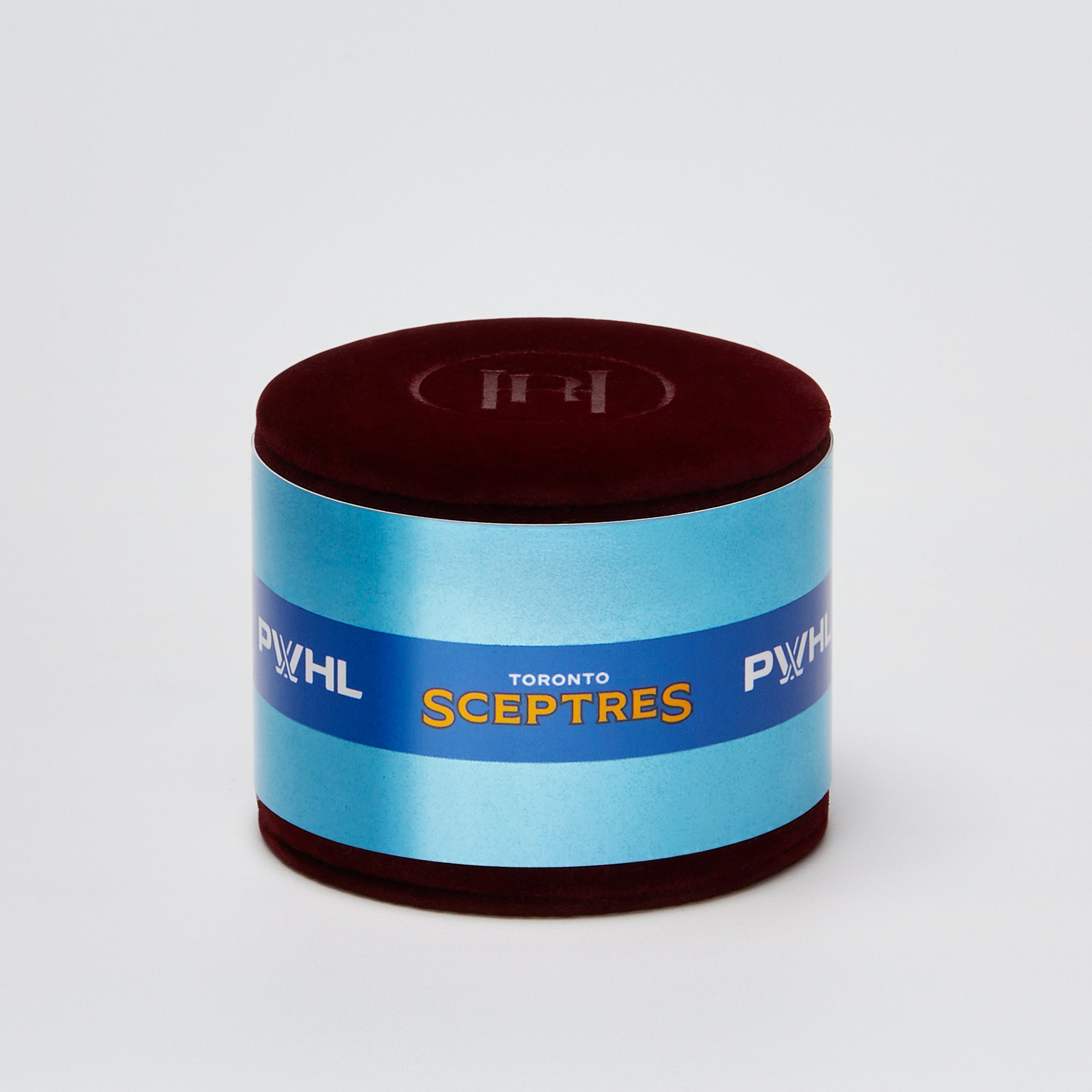 Toronto Sceptres Hillberg & Berk Gold Game Day Necklace - Jewelry in Gold