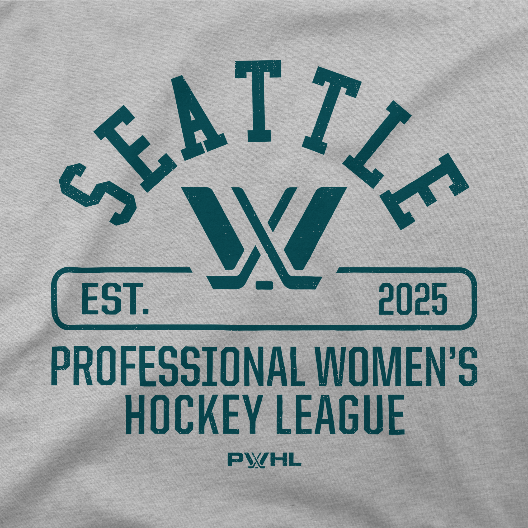 Seattle Adult Stadium Essentials Physical Hoodie - Hoodie in S
