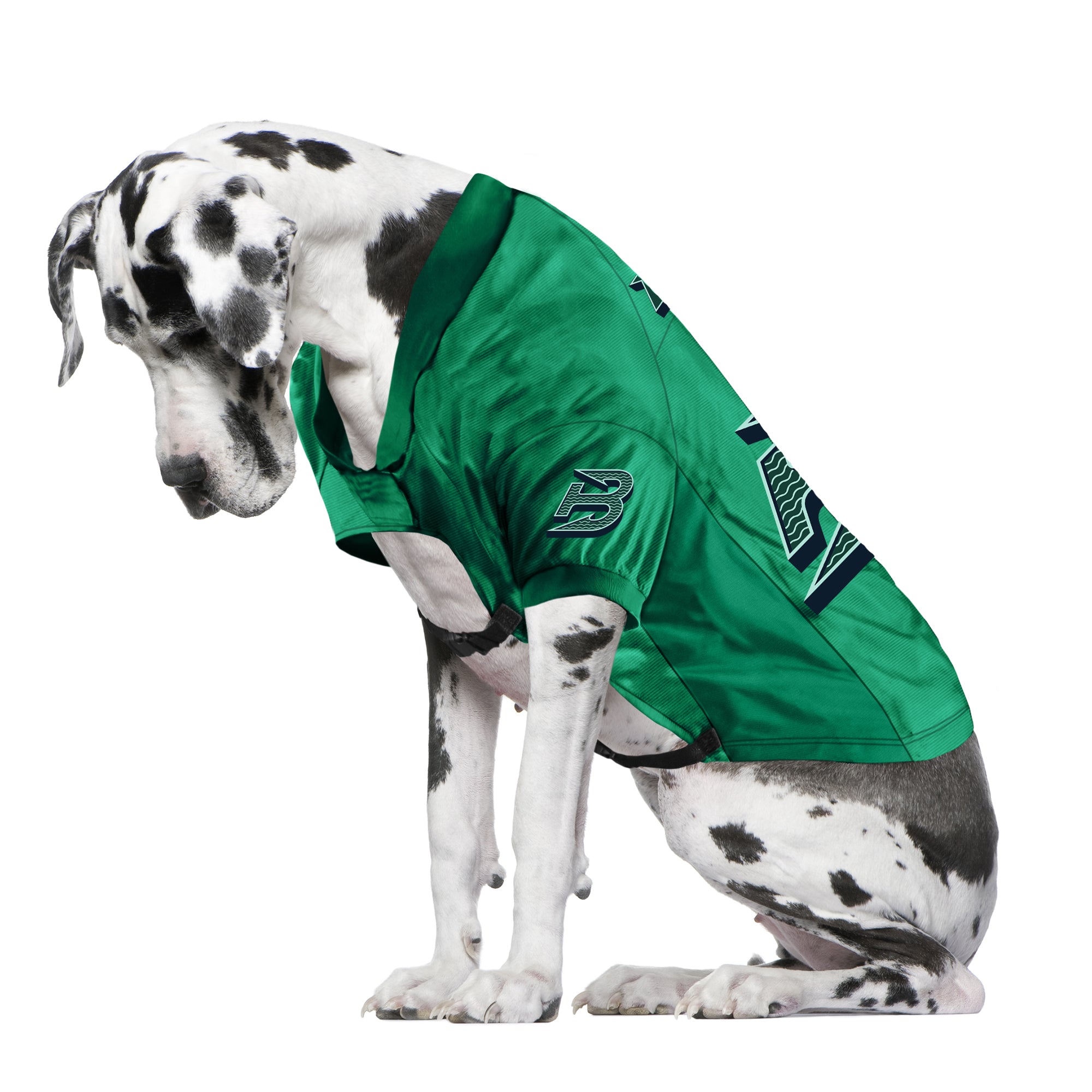 Boston Fleet Big Dog Stretch Pet Jersey - Pet in Green