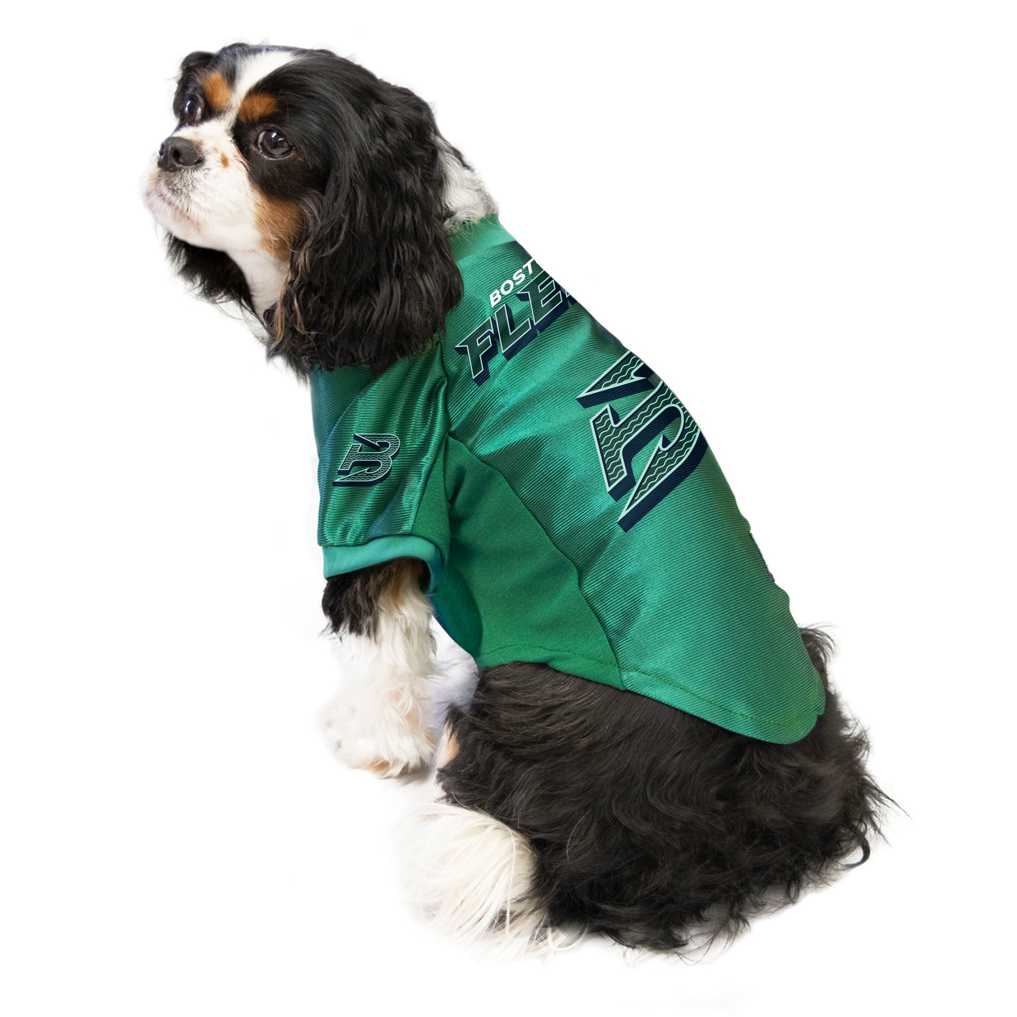 Boston Fleet Stretch Pet Jersey - Pet in Green