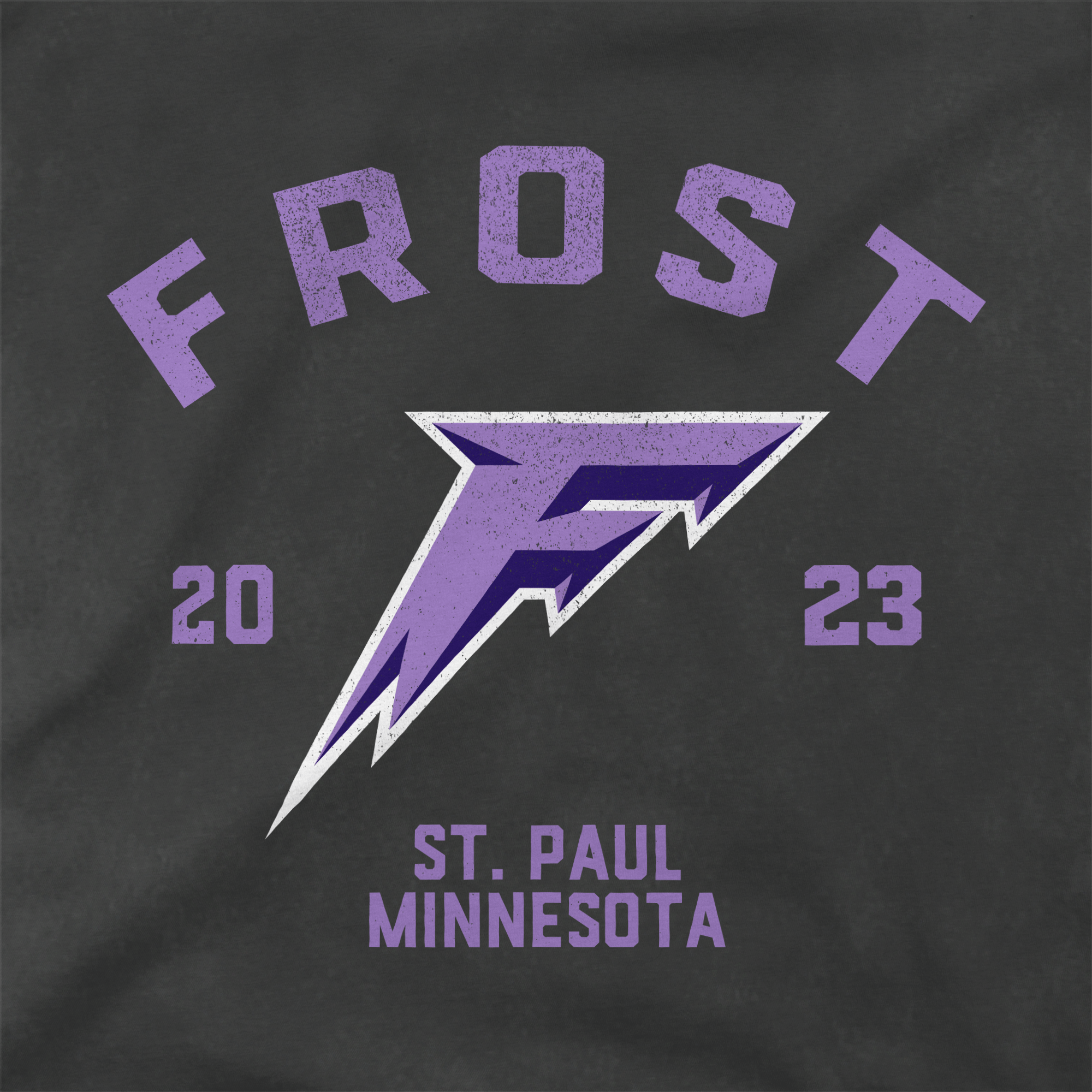 Pre - Order Minnesota Frost Adult Stadium Essentials Get Back Vintage T-Shirt - T-Shirt in Vintage Black
