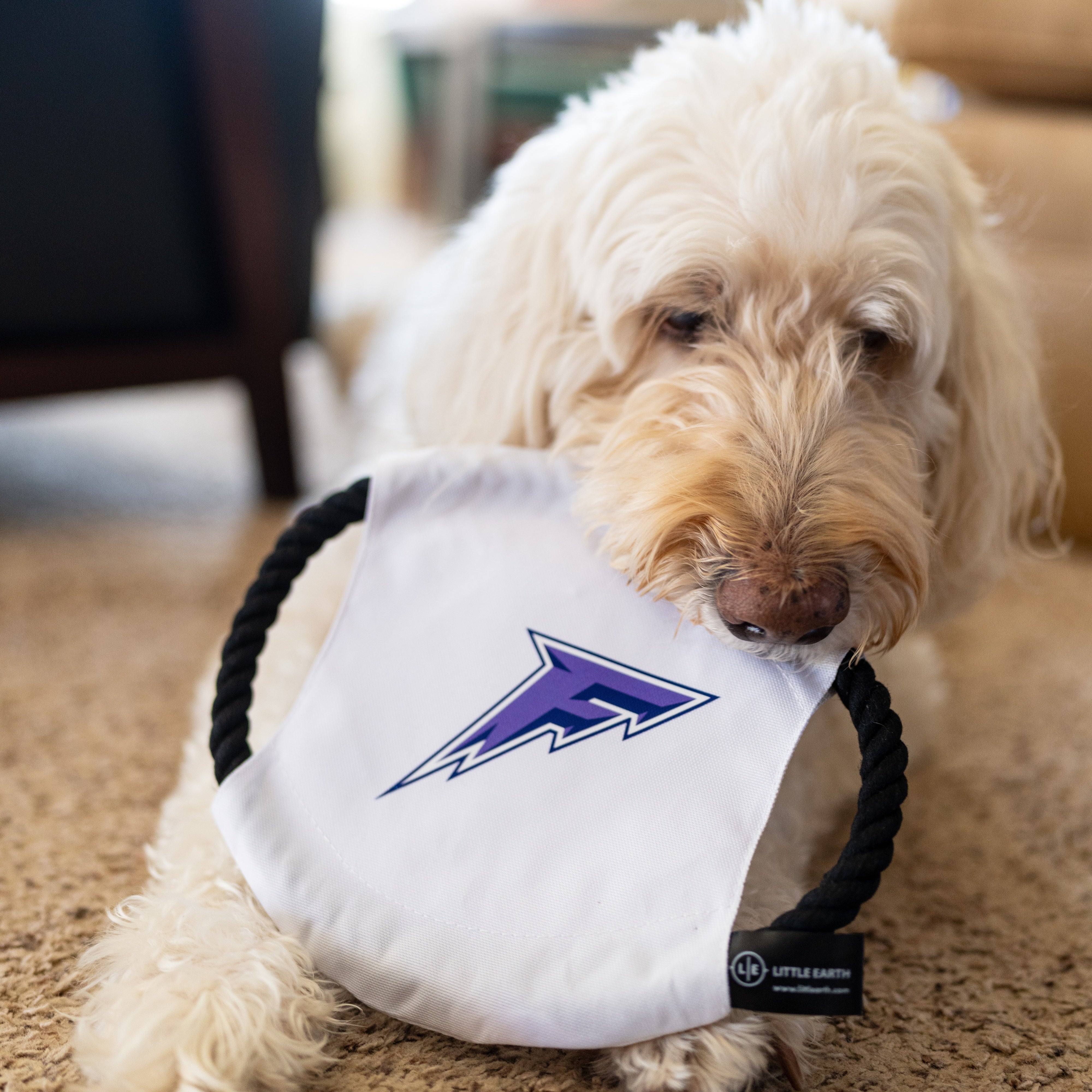 Minnesota Frost Flying Disc Pet Toy - Pet in White