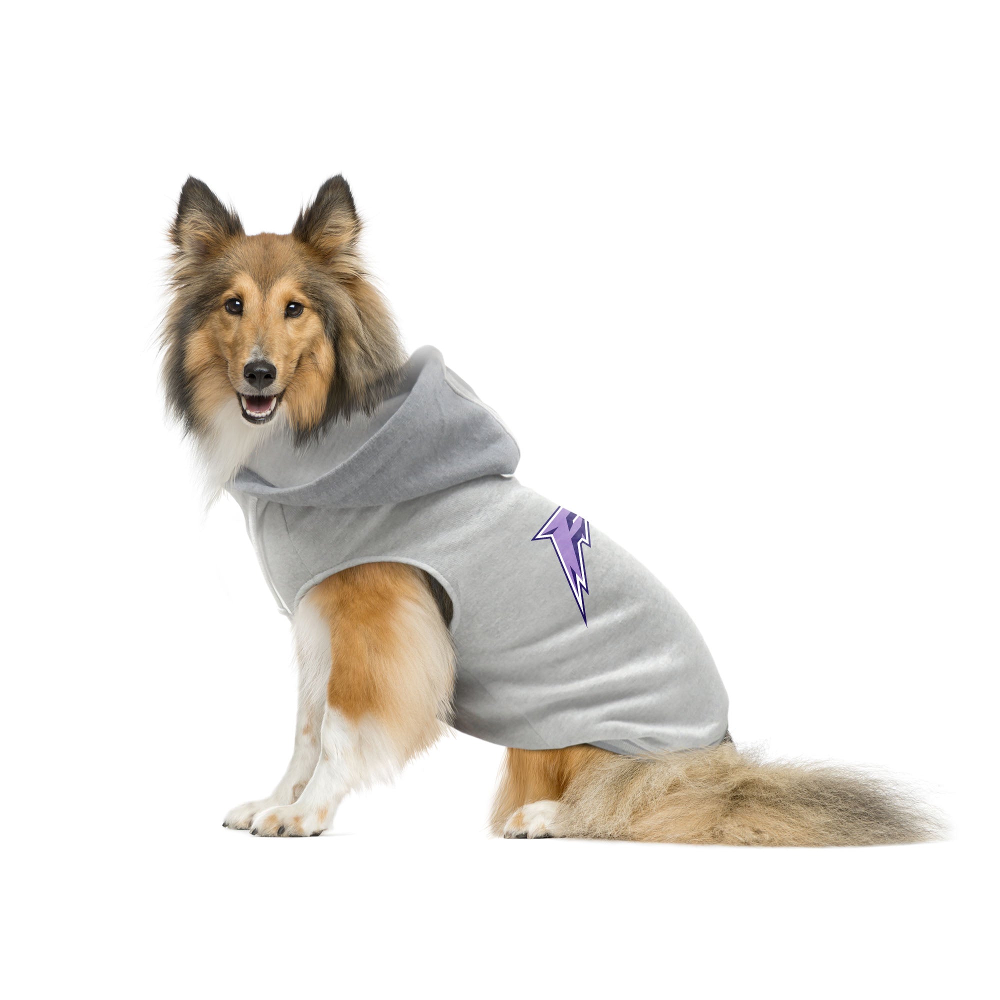 Minnesota Frost Pet Hooded Crewneck - Pet in Grey