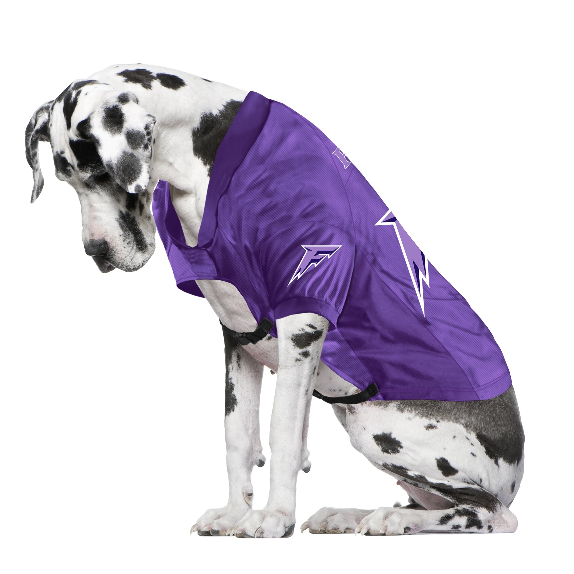 Minnesota Frost Big Dog Stretch Pet Jersey - Pet in Purple