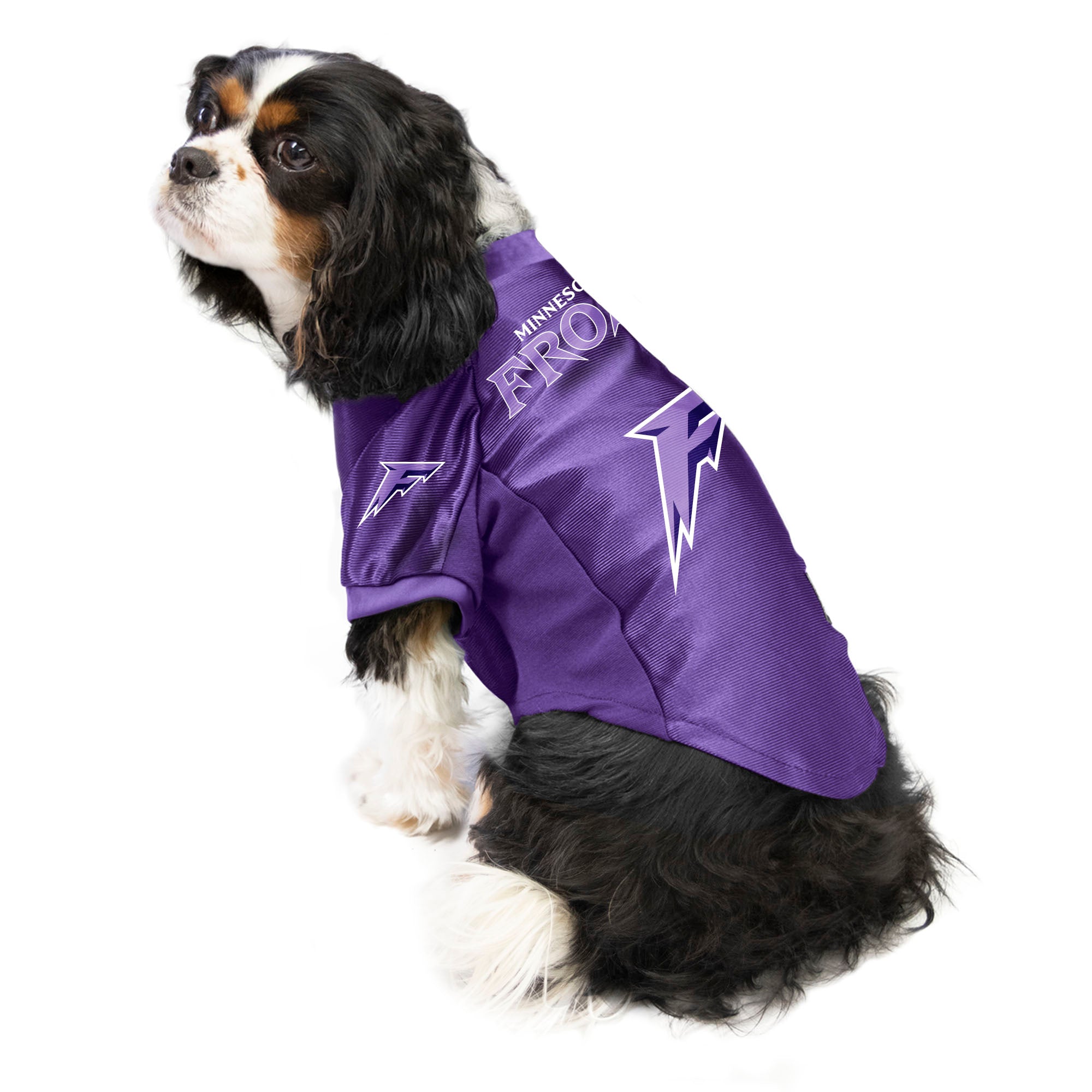 Minnesota Frost Stretch Pet Jersey - Pet in Purple