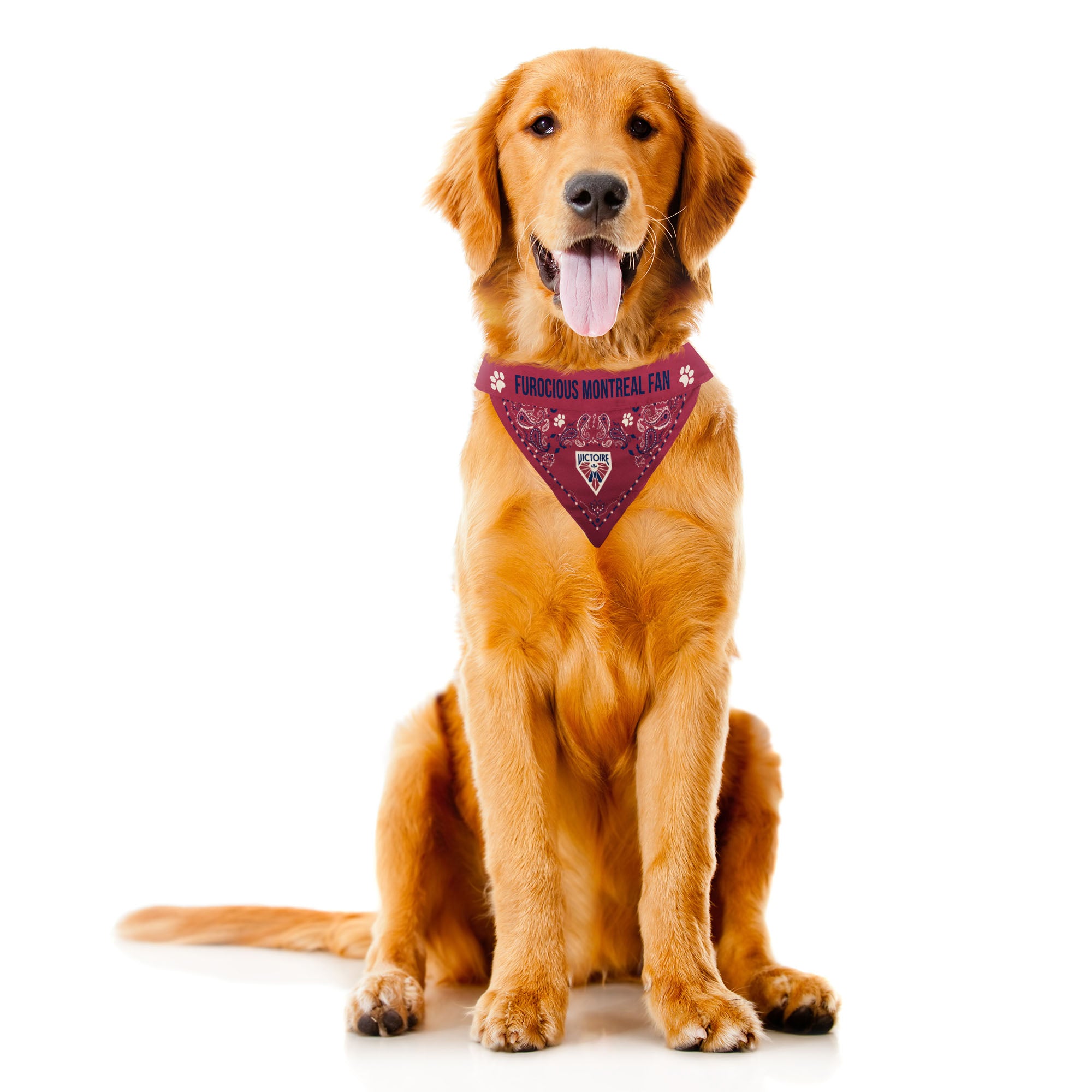 Montreal Victoire Reversible Pet Bandana - Pet in XS