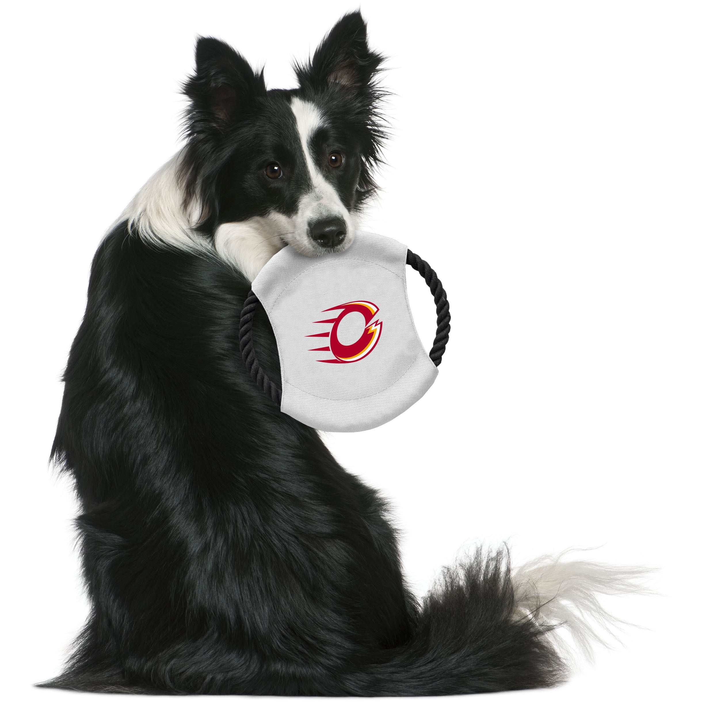 Ottawa Charge Flying Disc Pet Toy - Pet in White