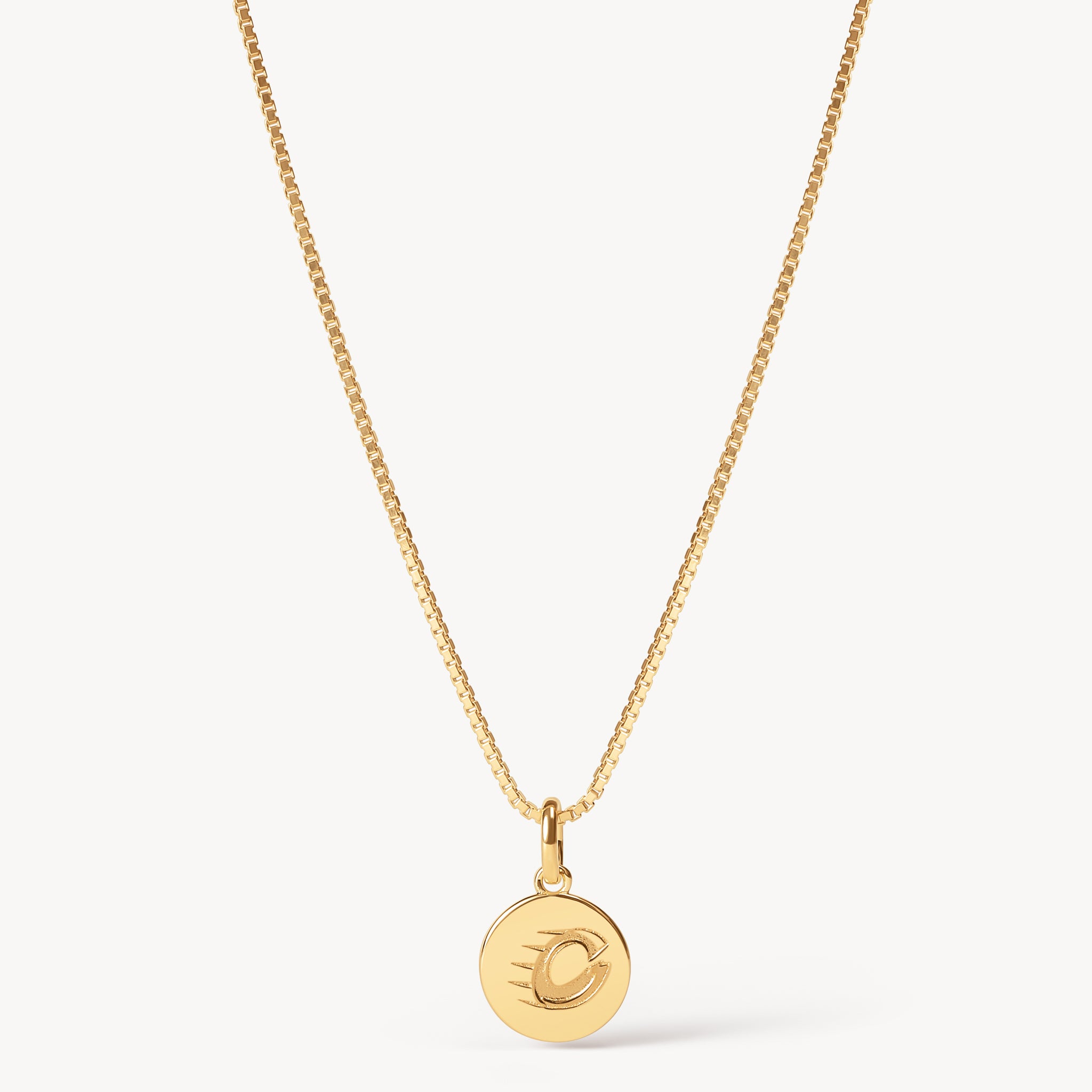 Ottawa Charge Hillberg & Berk Gold Medallion Necklace - Jewelry in Gold