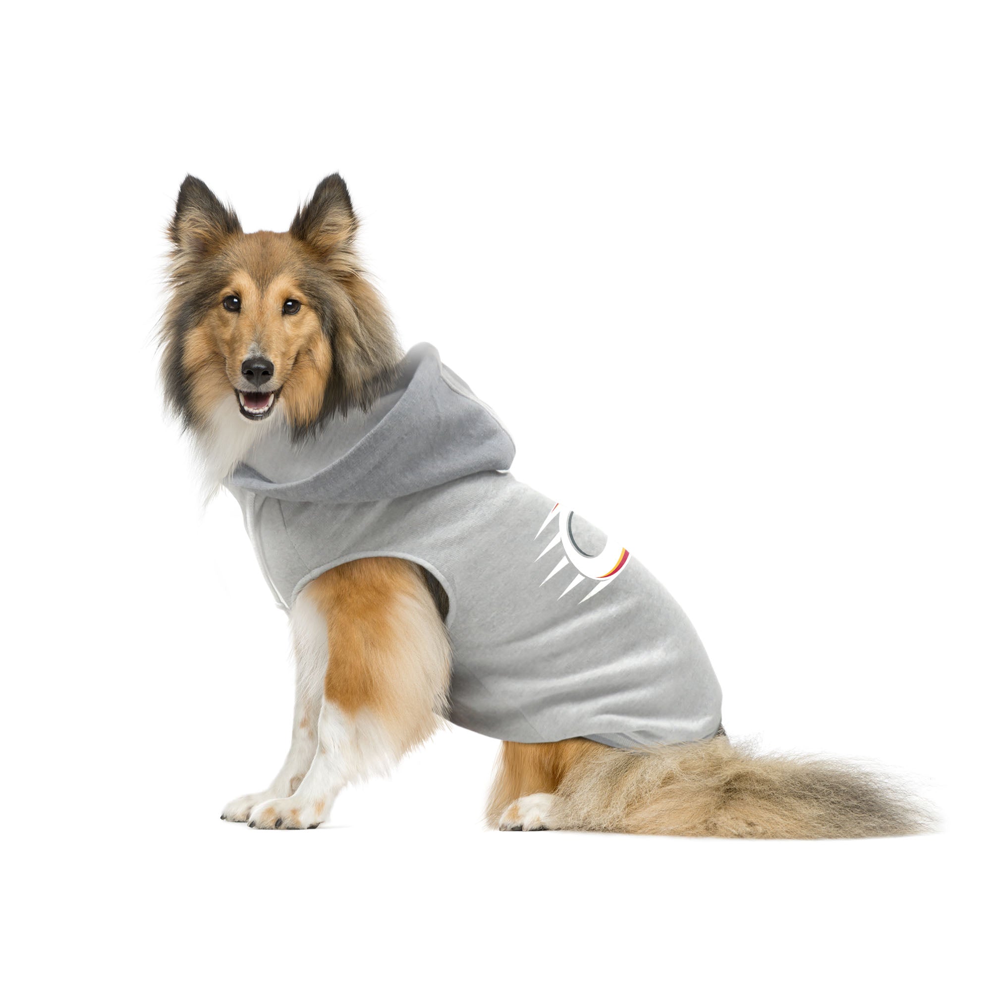 Ottawa Charge Pet Hooded Crewneck - Pet in Grey