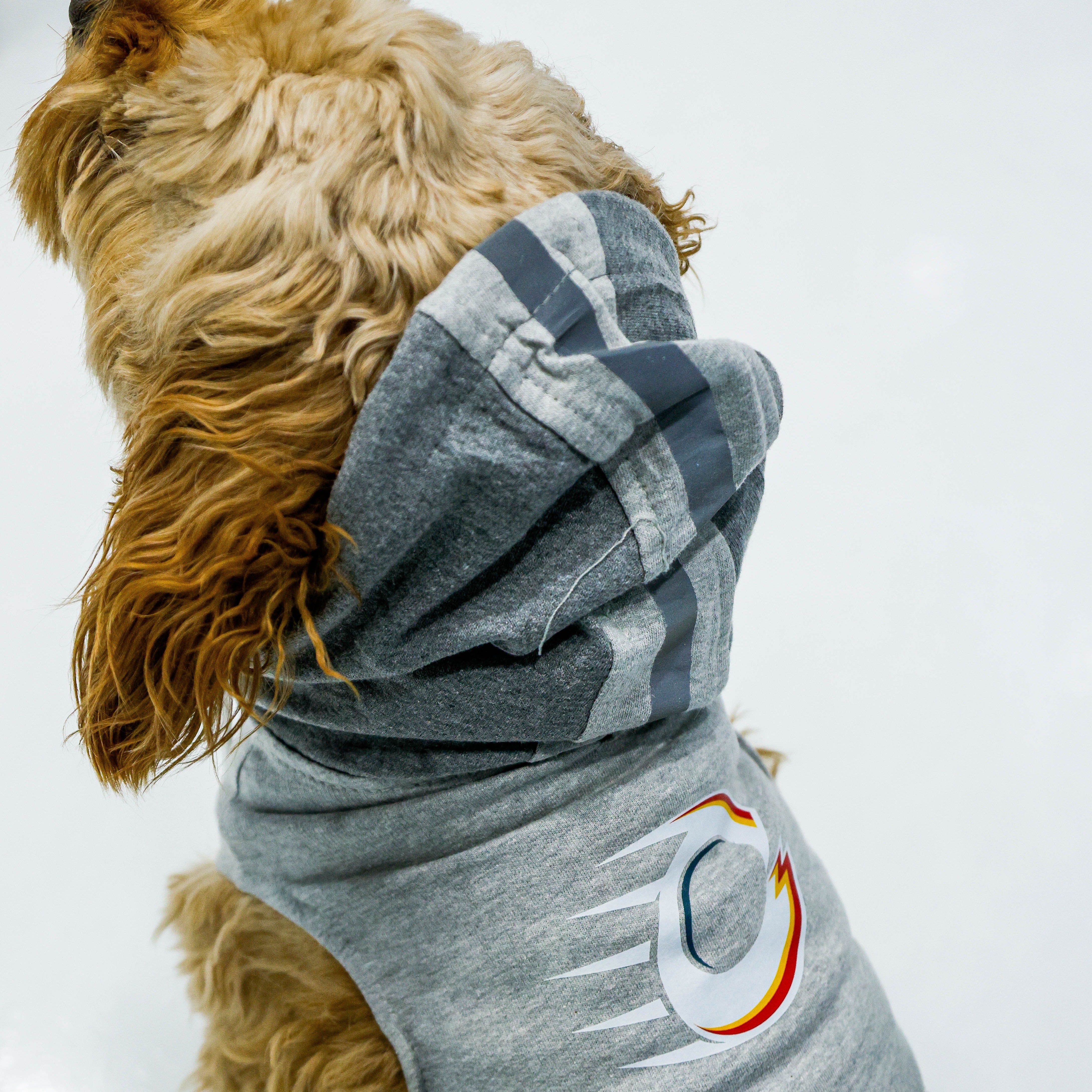 Ottawa Charge Pet Hooded Crewneck - Pet in Grey