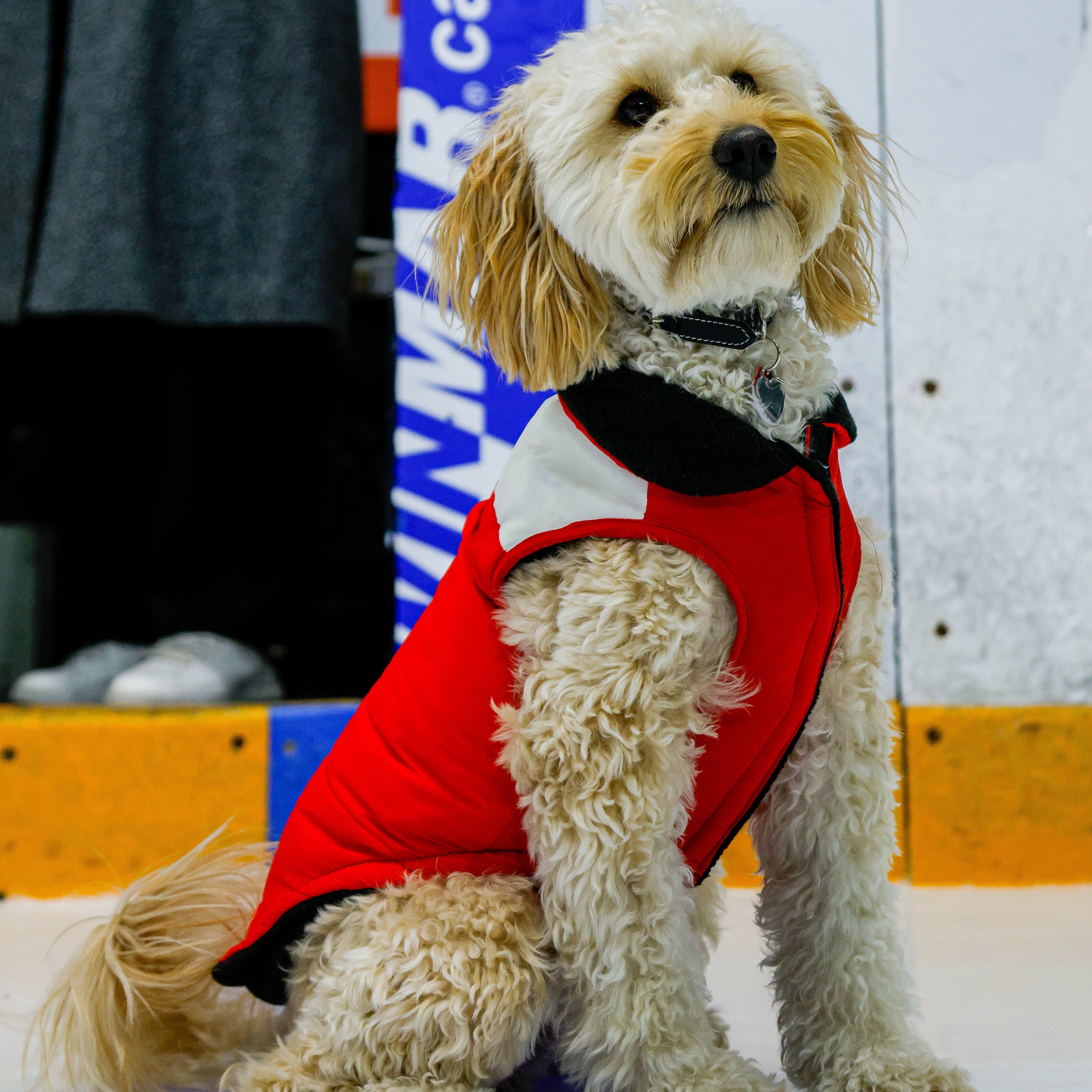 Ottawa Charge Pet Parka Puff Vest - Pet in Red