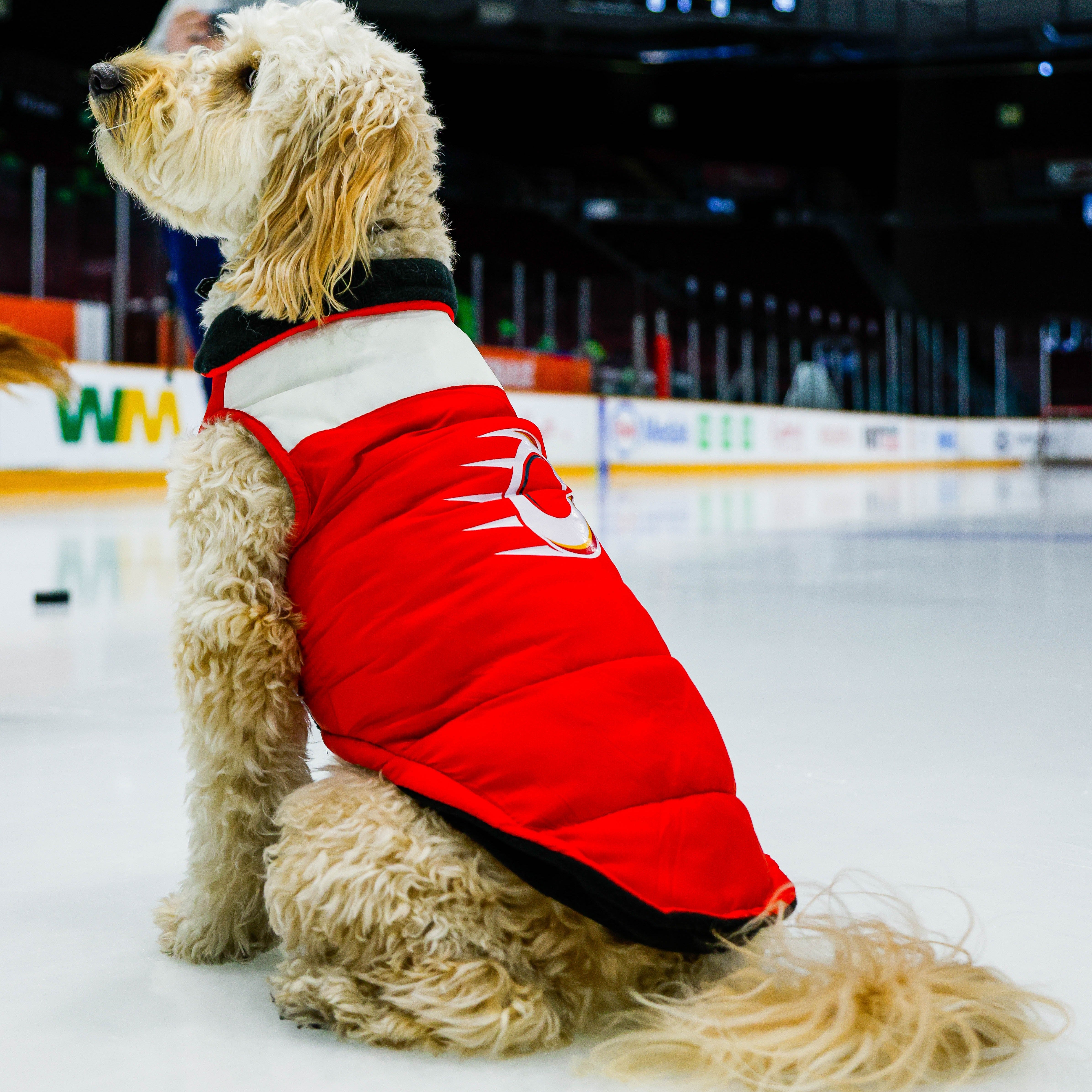 Ottawa Charge Pet Parka Puff Vest - Pet in Red