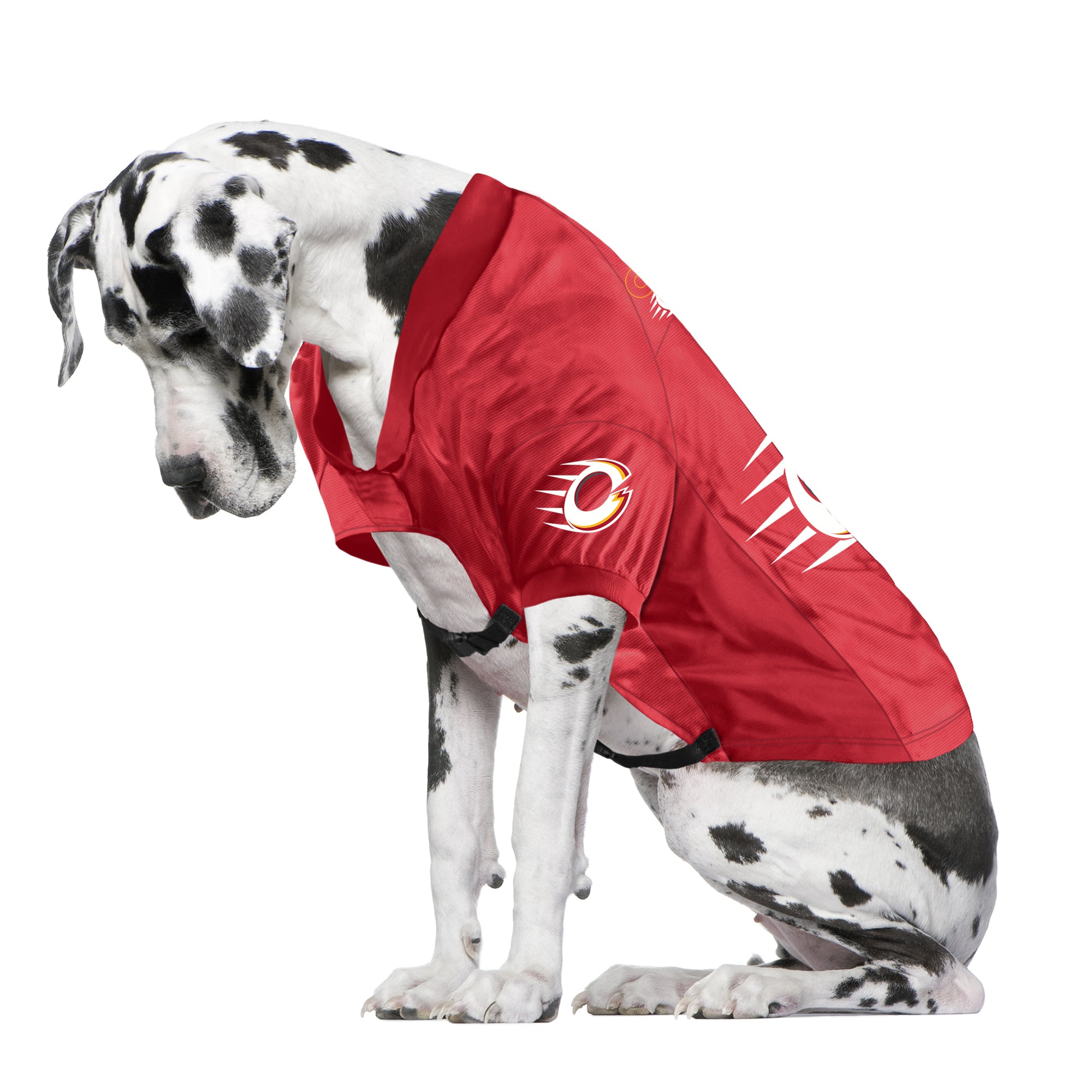 Ottawa Charge Big Dog Stretch Pet Jersey - Pet in Red