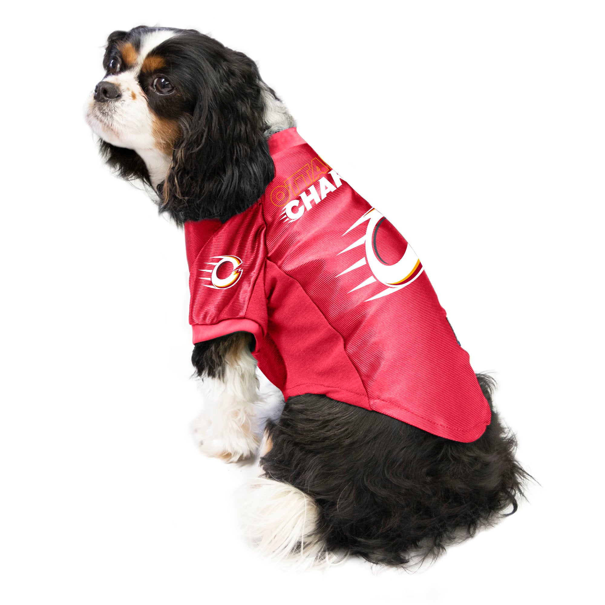Ottawa Charge Stretch Pet Jersey - Pet in Red