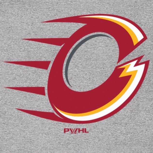 Ottawa Charge Youth Stadium Essentials Logo Hoodie - Hoodie in Grey