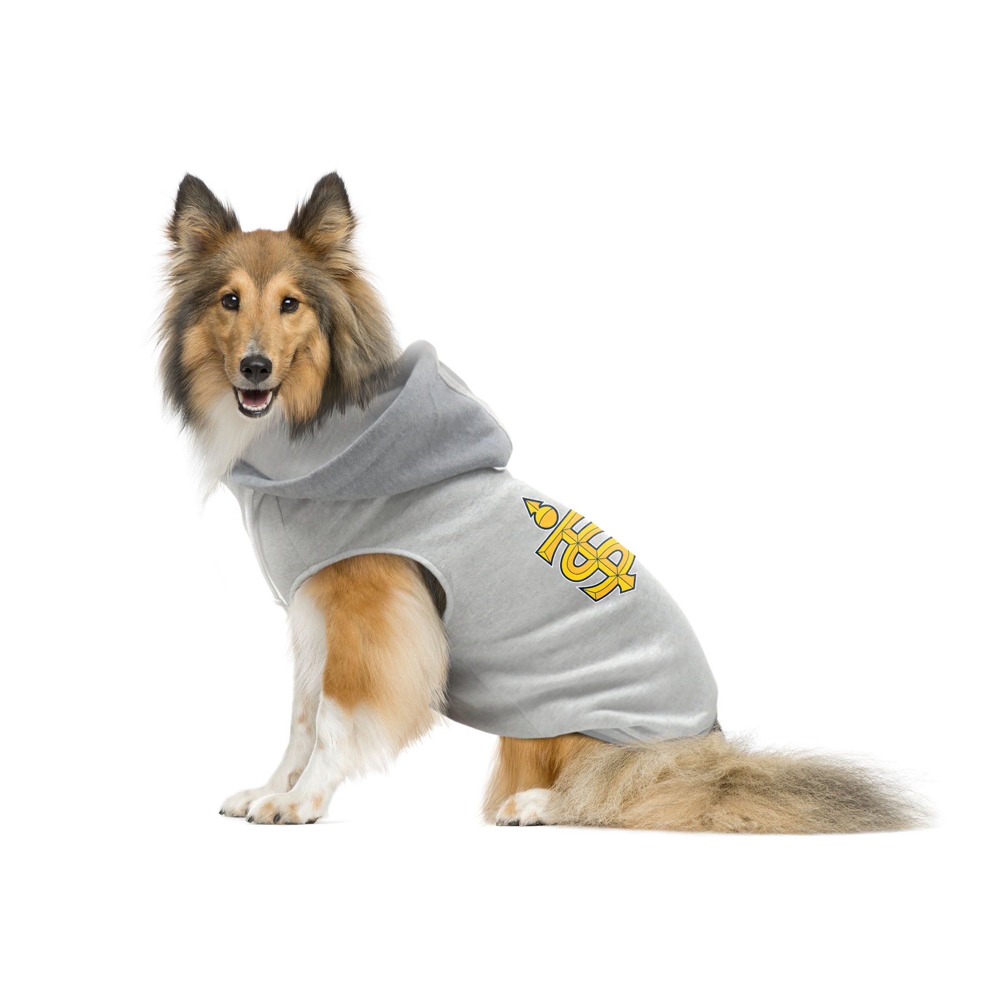 Toronto Sceptres Pet Hooded Crewneck - Pet in Grey