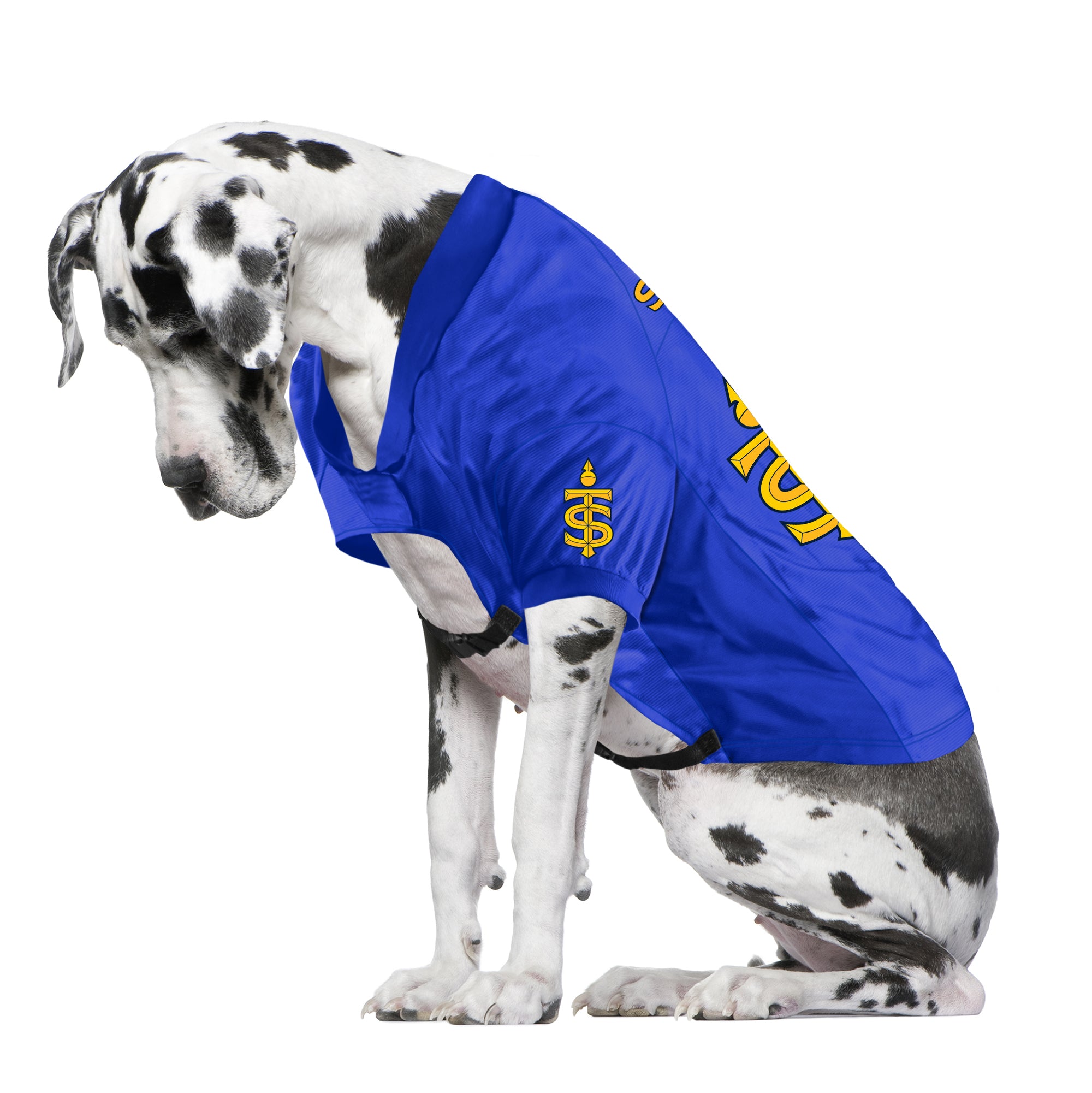 Toronto Sceptres Big Dog Stretch Pet Jersey - Pet in Blue