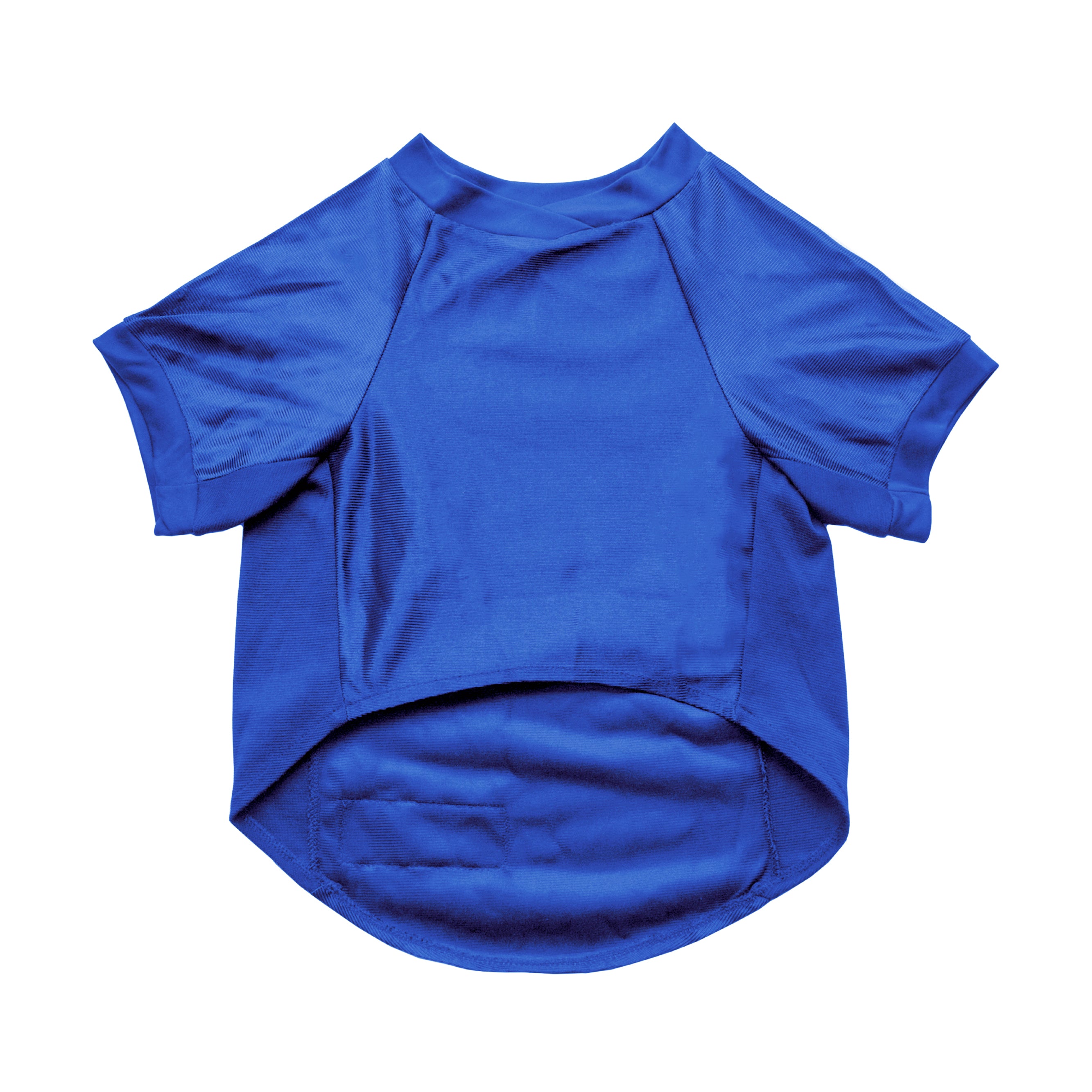 Toronto Sceptres Stretch Pet Jersey - Pet in Blue