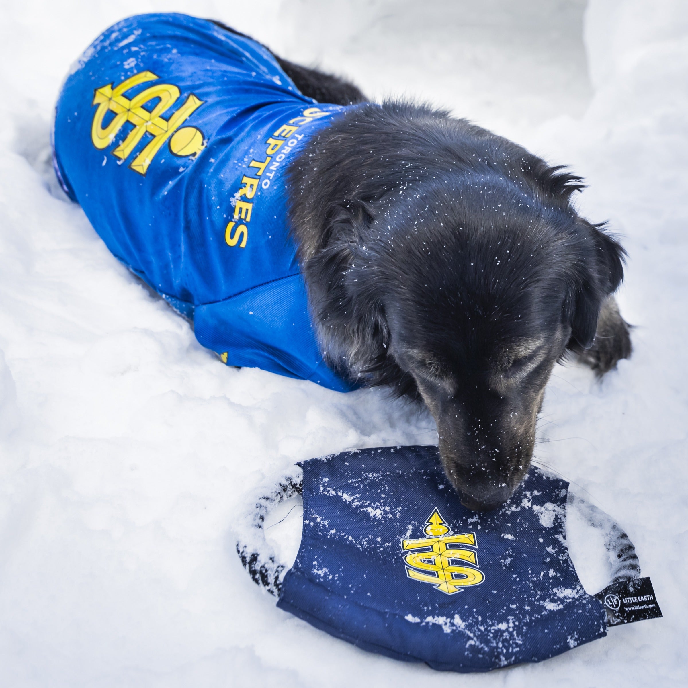 Toronto Sceptres Stretch Pet Jersey - Pet in Blue