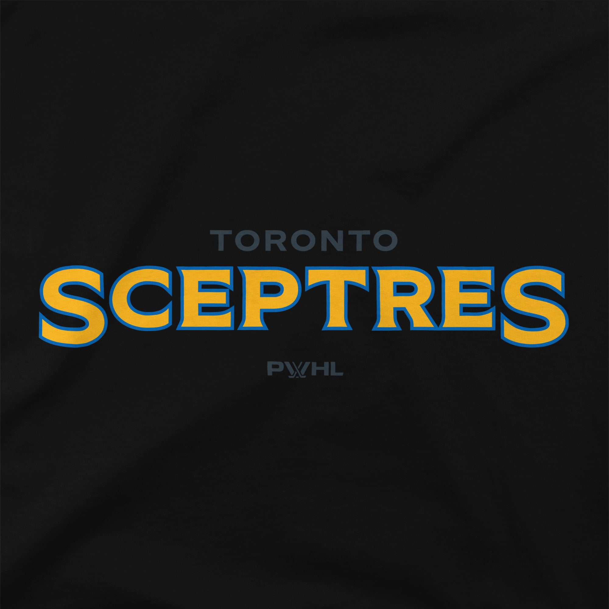 Toronto Sceptres Unisex Stadium Essentials Wordmark T-Shirt - T-Shirt in Black