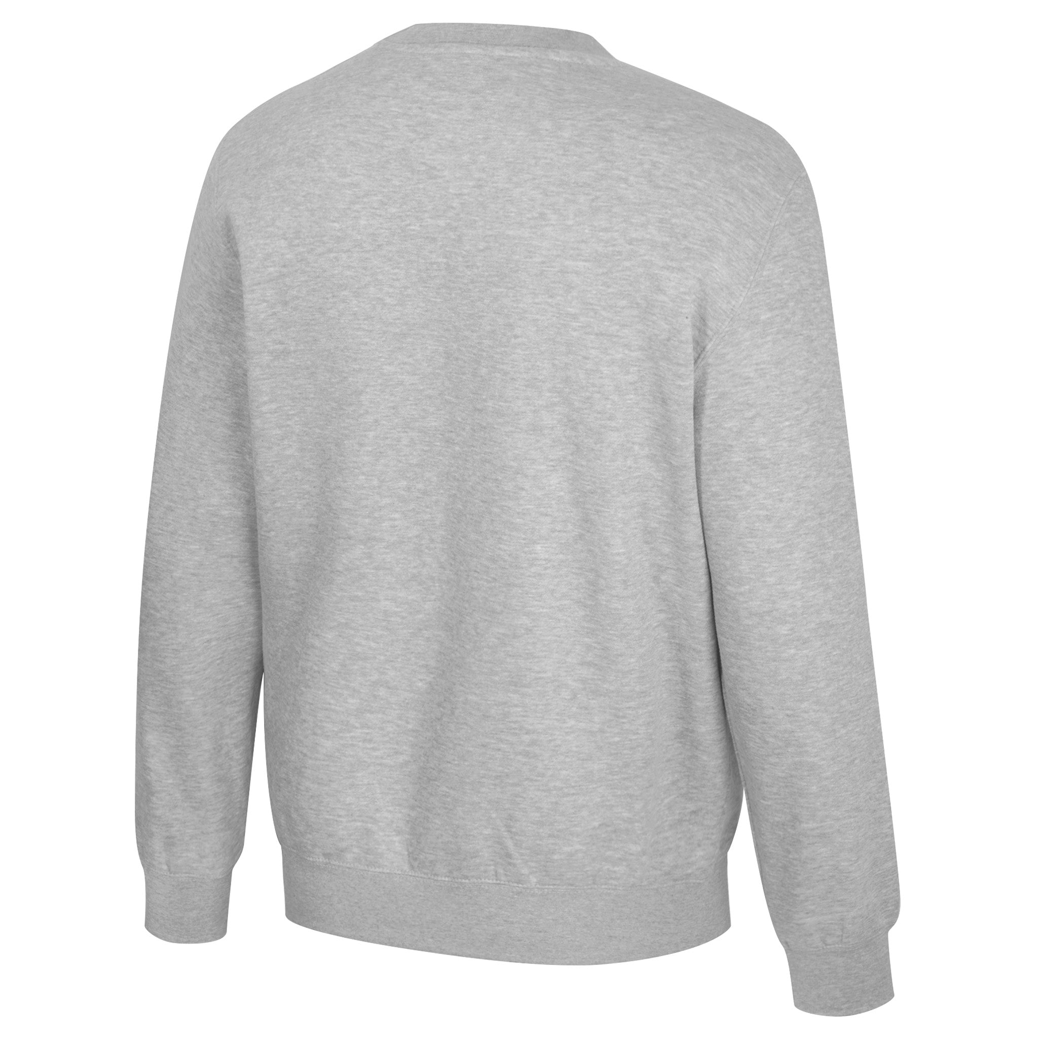 Adult PWHL Hamilton Stadium Essentials Sky High Crew - Crewneck in S