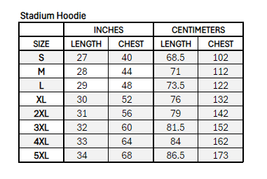 Boston Fleet Unisex Stadium Essentials Logo Hoodie - Hoodie in Grey