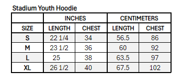 Minnesota Frost Youth Stadium Essentials Logo Hoodie - Hoodie in Grey