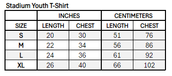 Ottawa Charge Youth Stadium Essentials Logo T-Shirt - T-Shirt in Grey