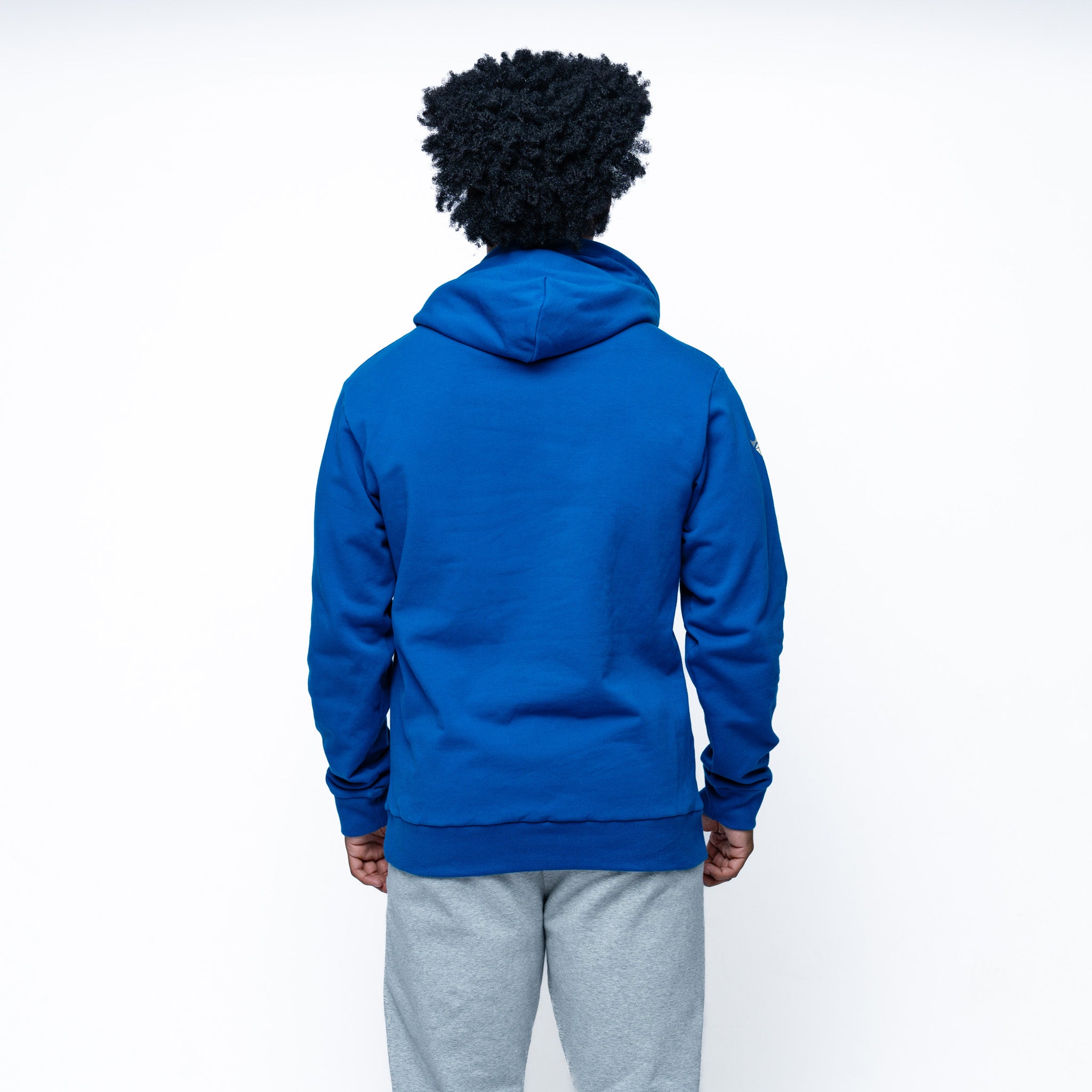 Adult Vancouver Goldeneyes Royalty Citymark Cloud Hoodie - Hoodie in Blue