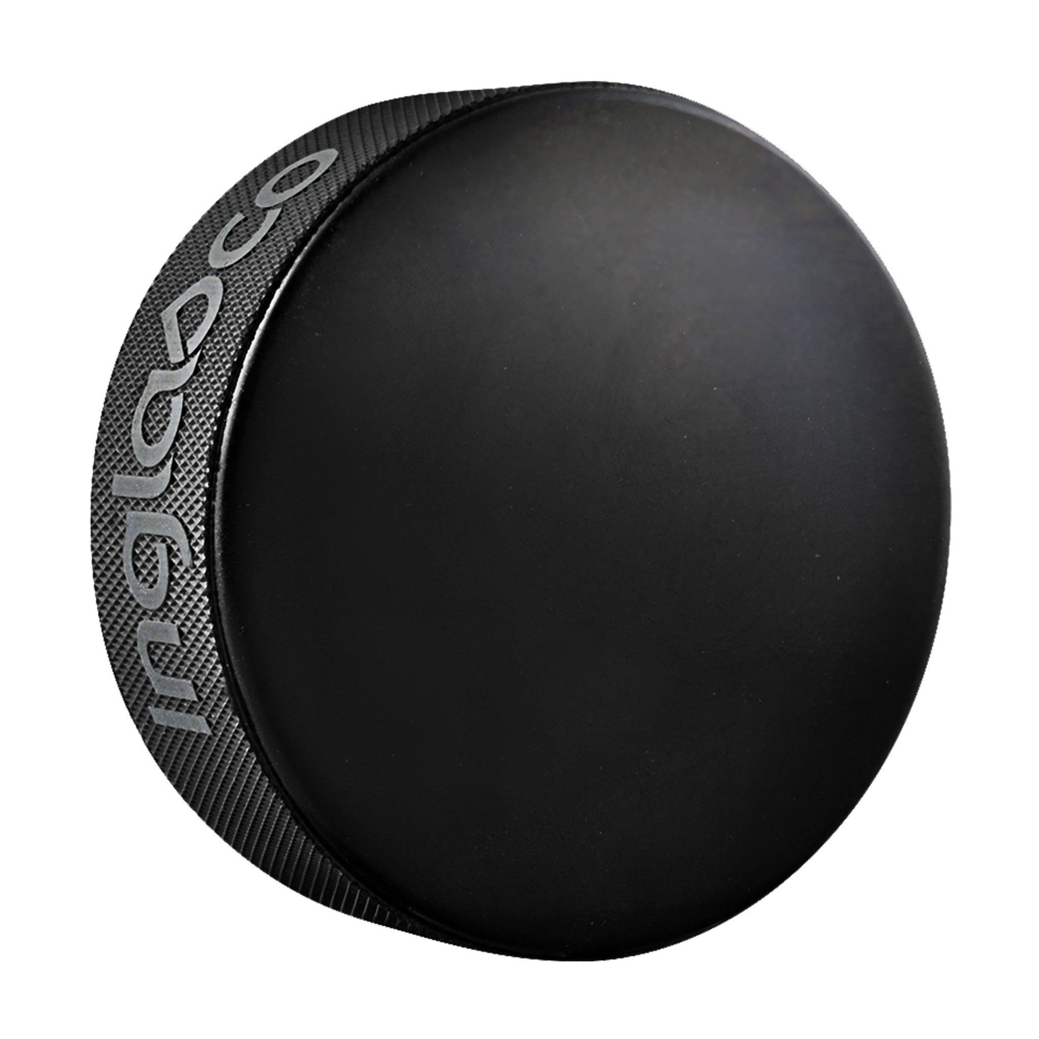 Vancouver Goldeneyes Souvenir Puck - Pucks in Black