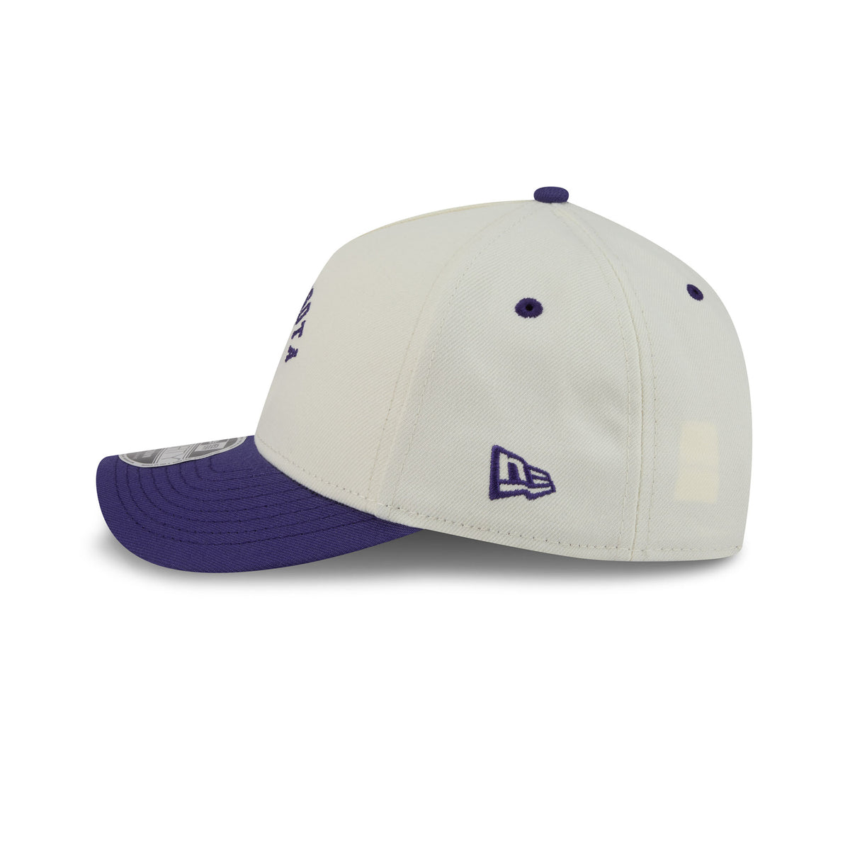 Adult Minnesota Frost New Era 9FOURTY A Frame Logo Hat - Hat in
