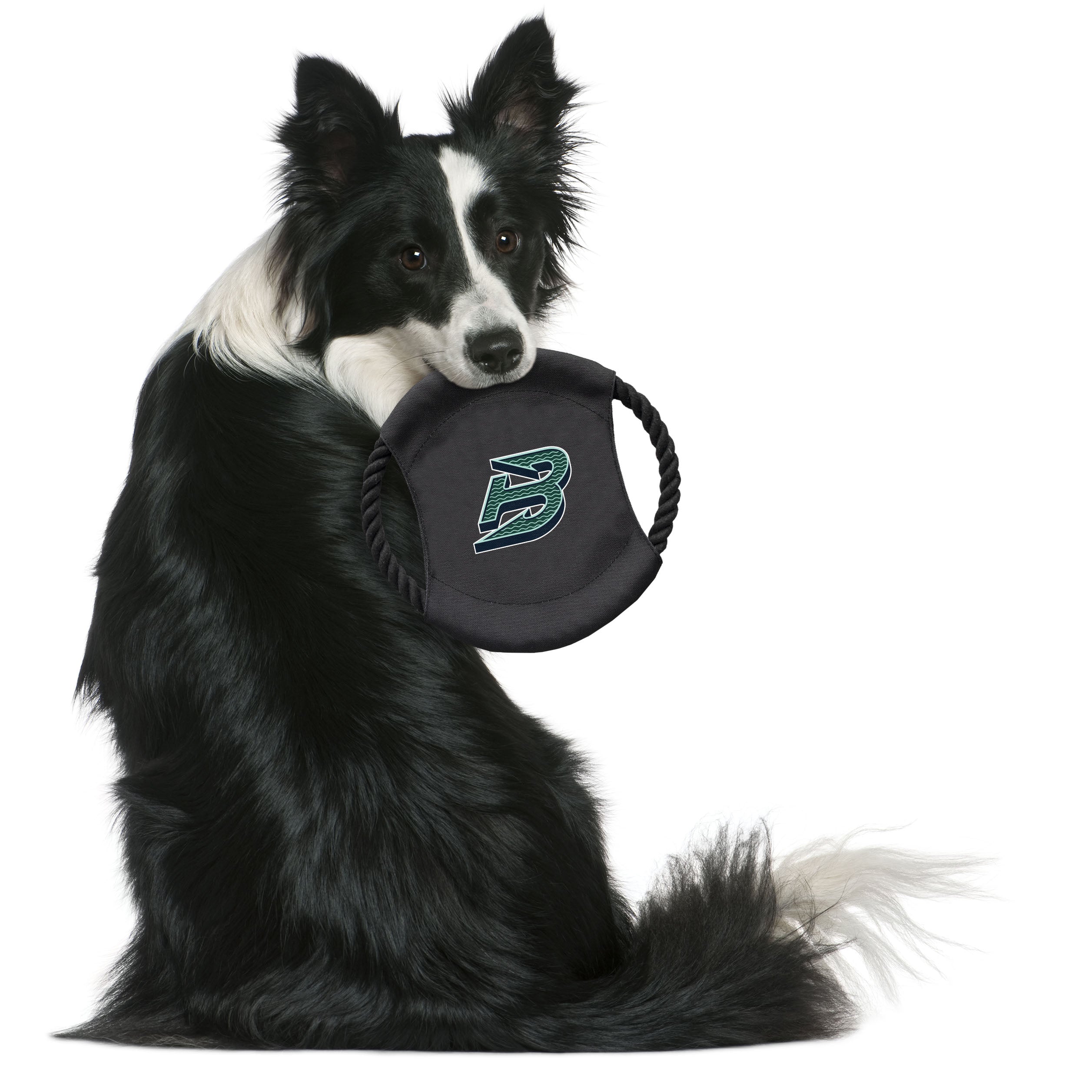 Boston Fleet Flying Disc Pet Toy - Pet in Black