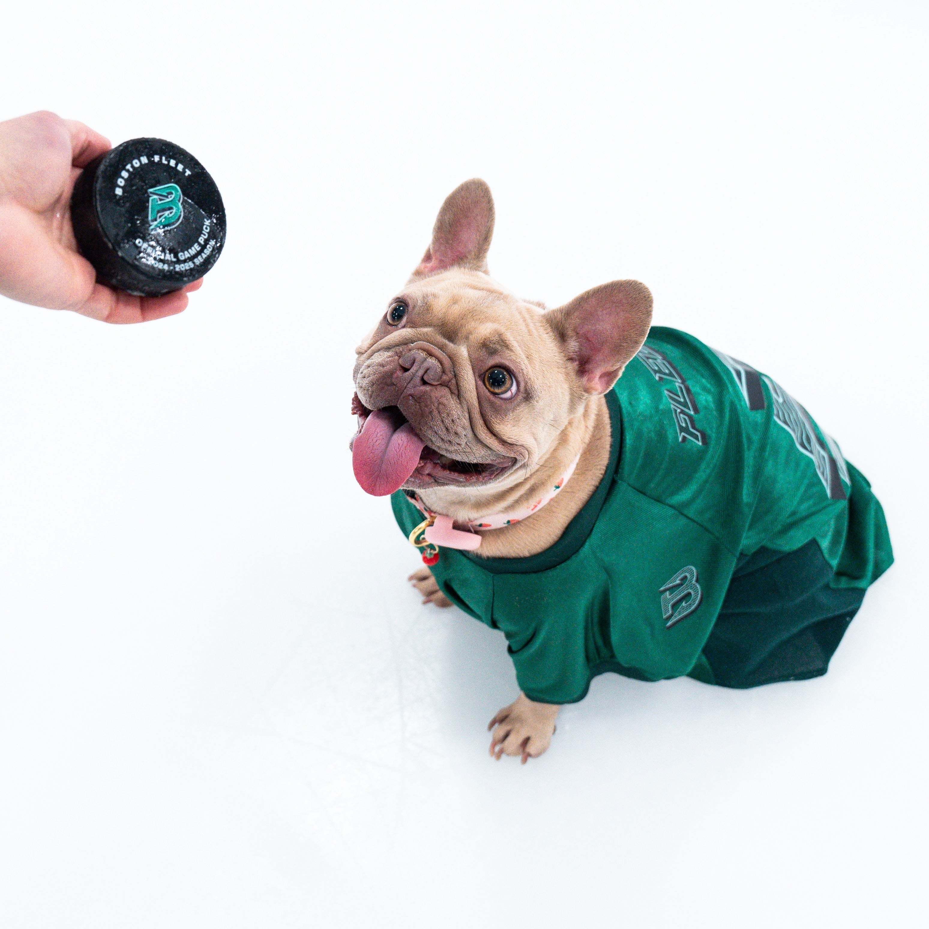 Boston Fleet Stretch Pet Jersey - Pet in Green