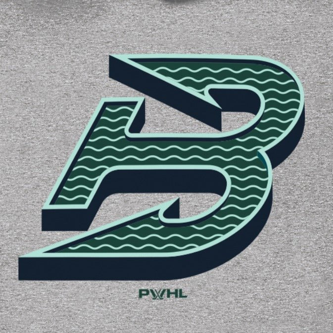 Boston Fleet Youth Stadium Essentials Logo Hoodie - Hoodie in Grey