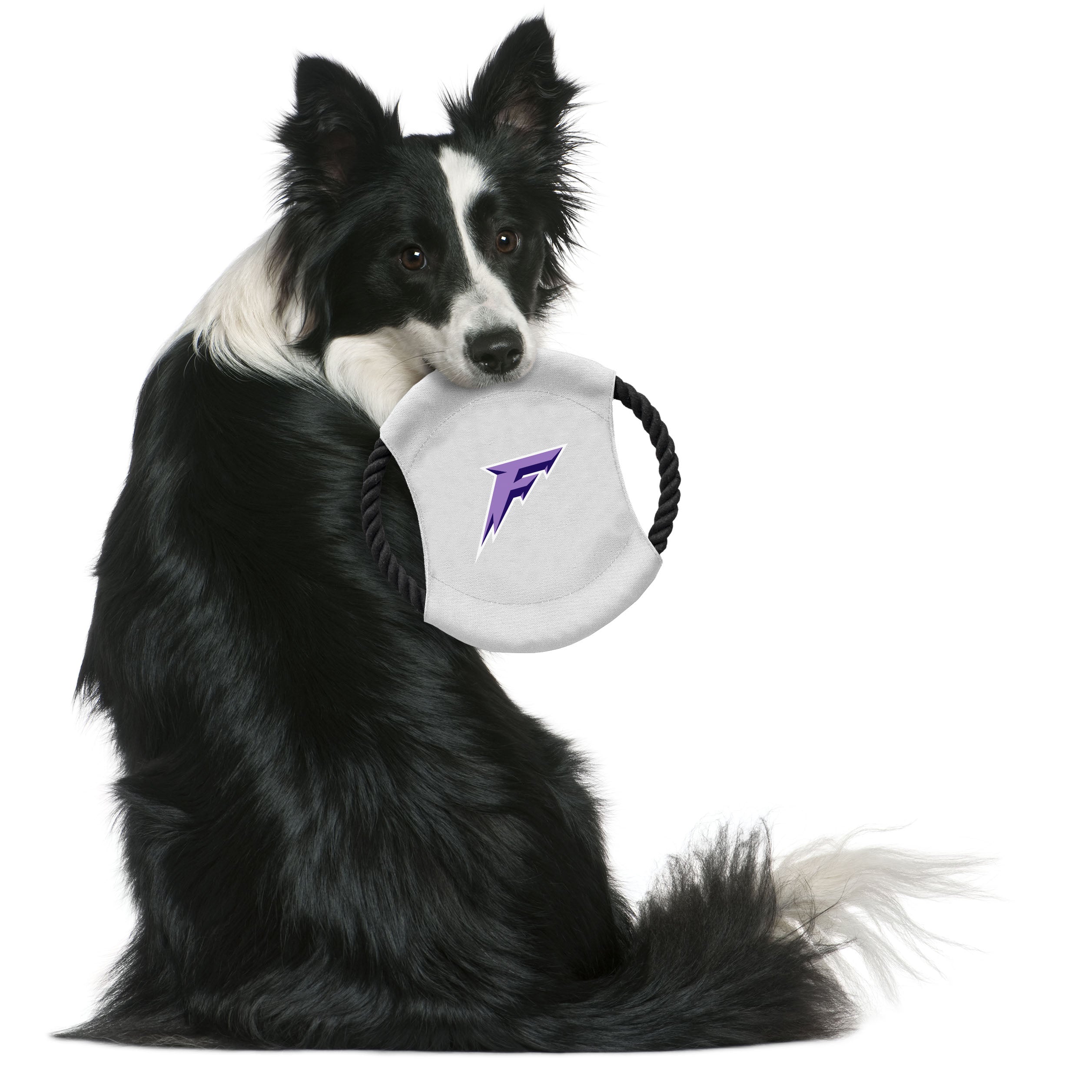 Minnesota Frost Flying Disc Pet Toy - Pet in White