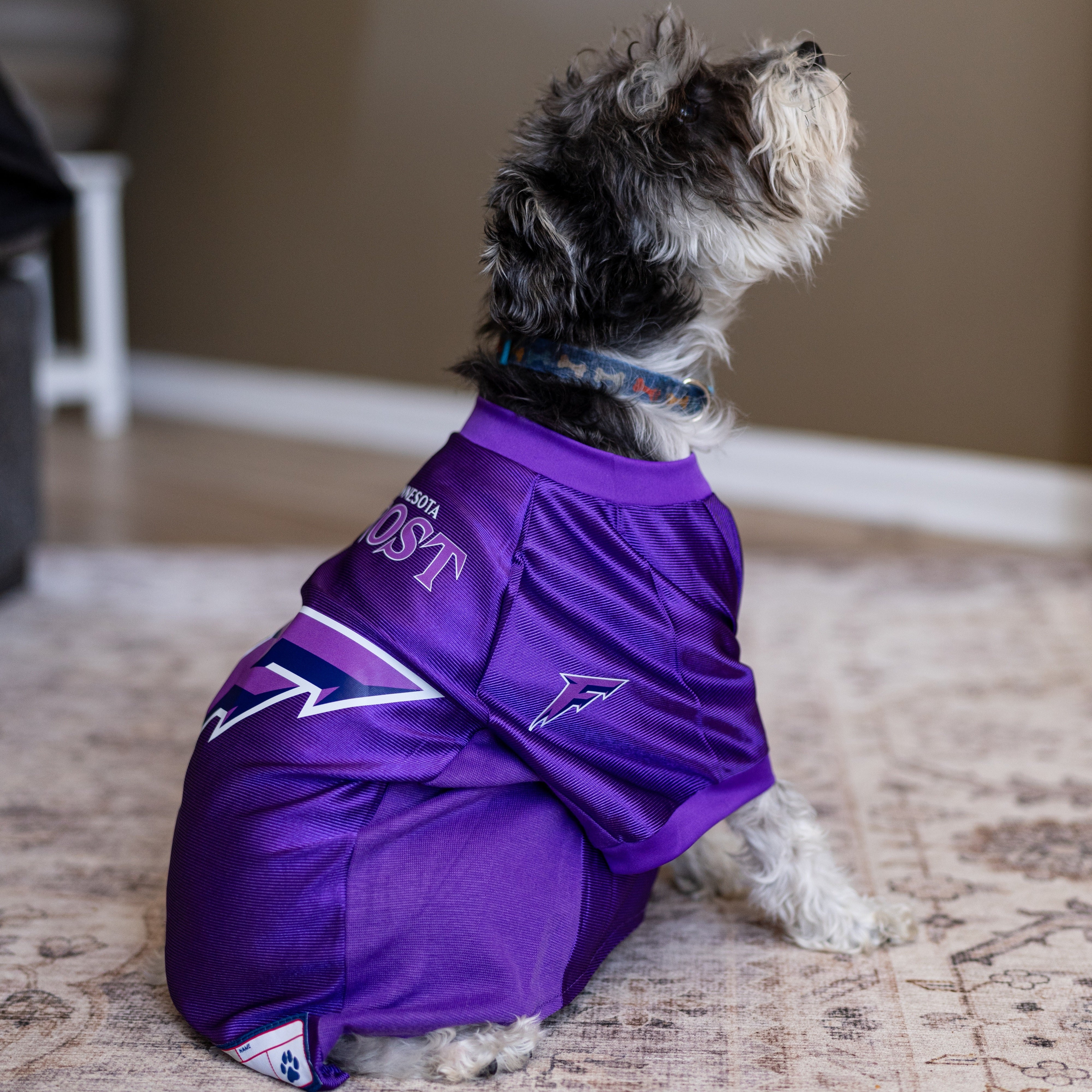 Minnesota Frost Stretch Pet Jersey - Pet in Purple