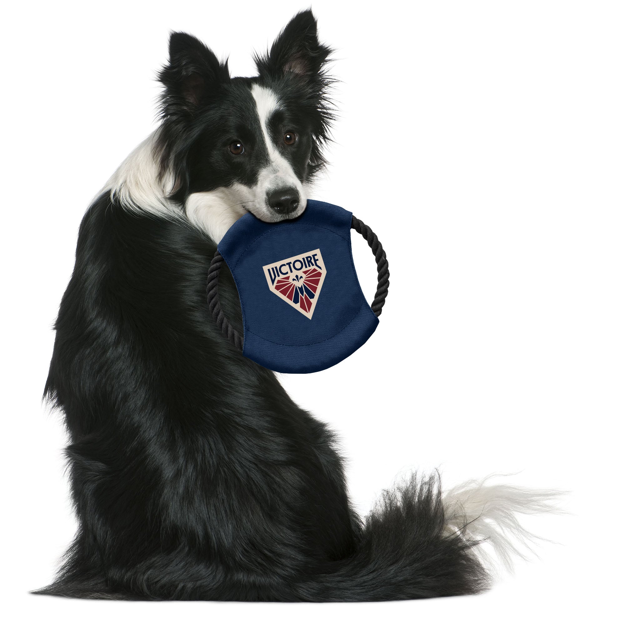 Montreal Victoire Flying Disc Pet Toy - Pet in Navy