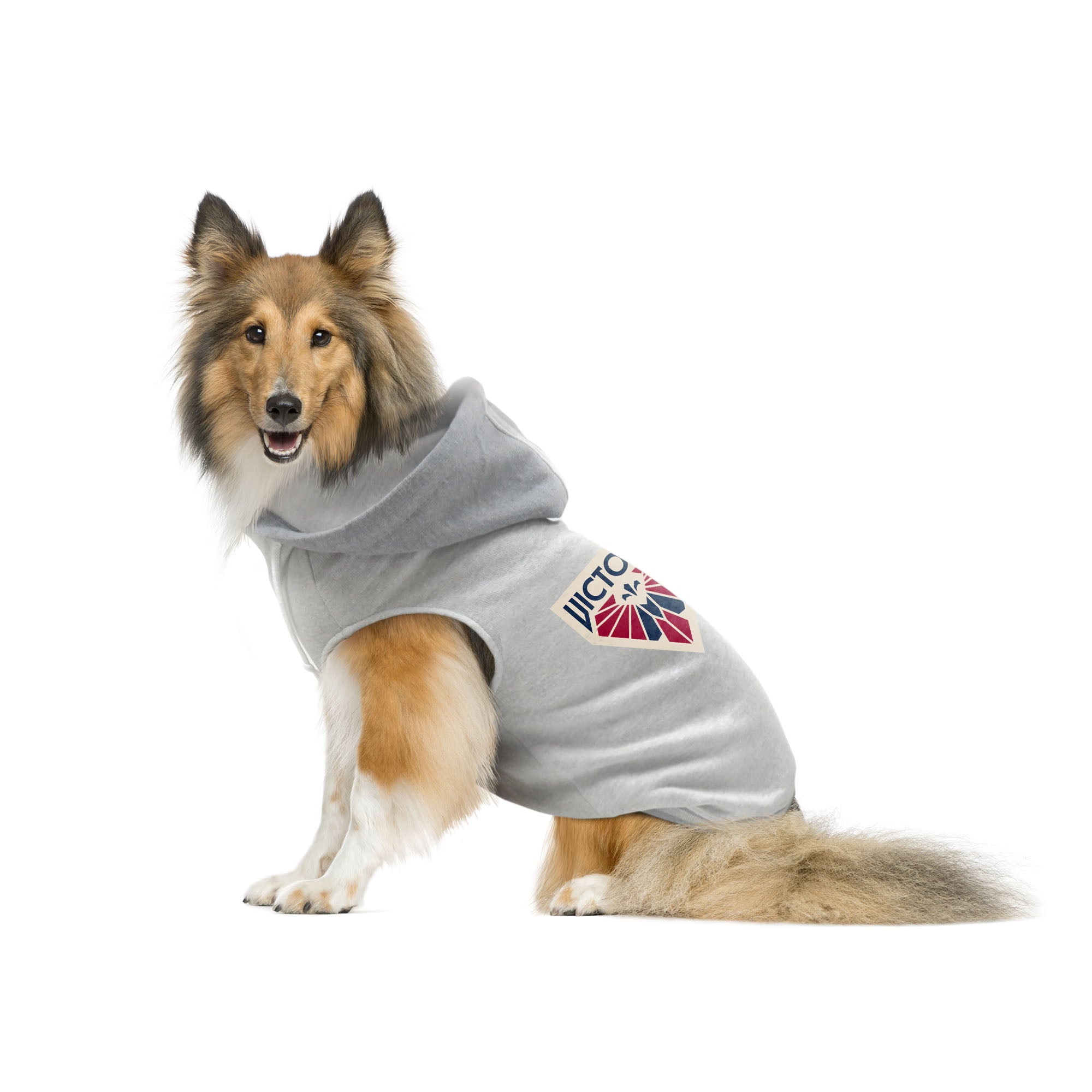 Montreal Victoire Pet Hooded Crewneck - Pet in Grey
