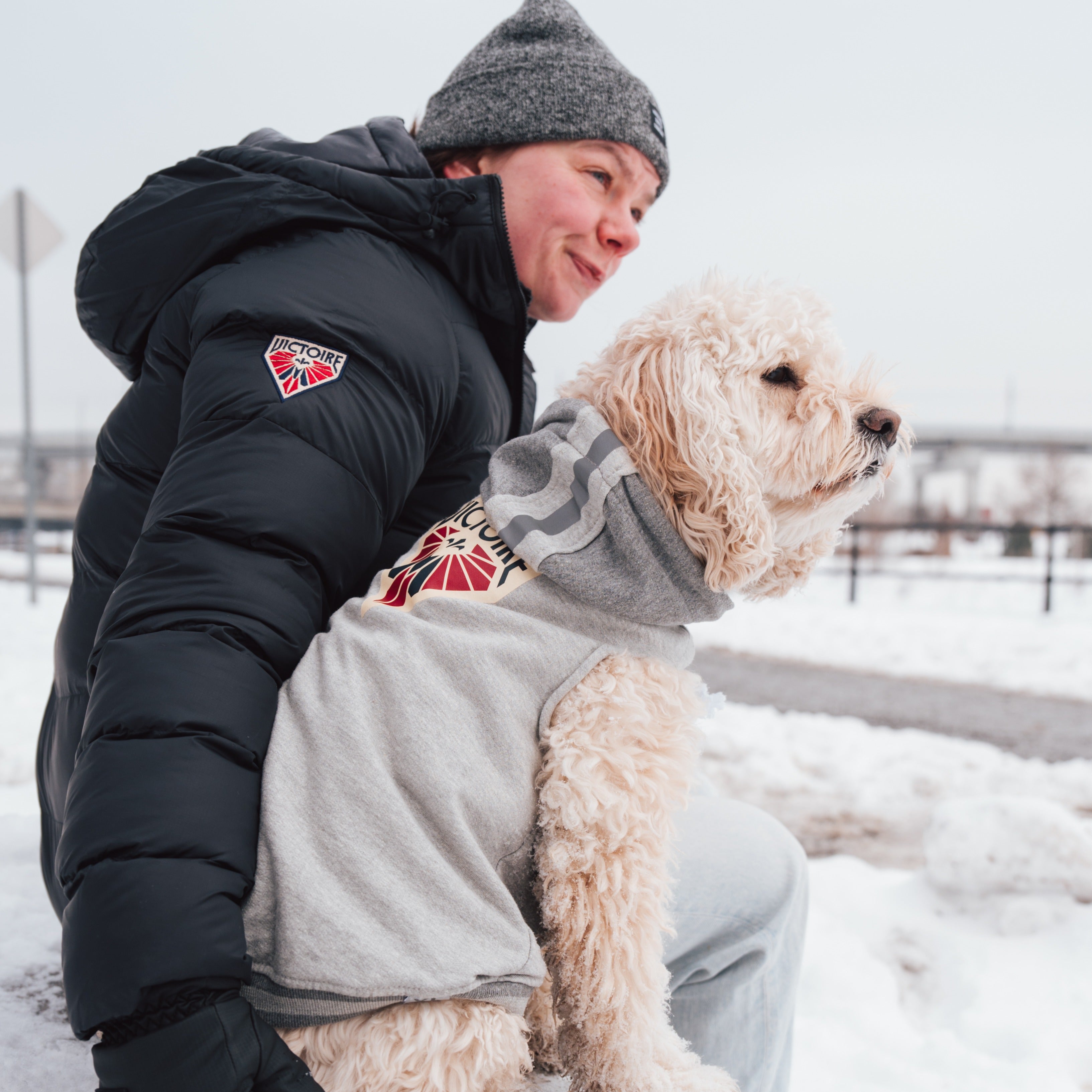 Montreal Victoire Pet Hooded Crewneck - Pet in Grey